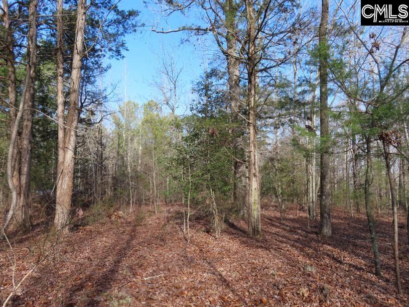 Rhinehart Road Batesburg, SC 29006