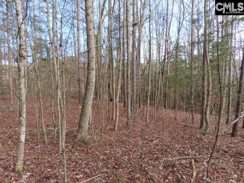 Rhinehart Road, Batesburg, South Carolina image 7