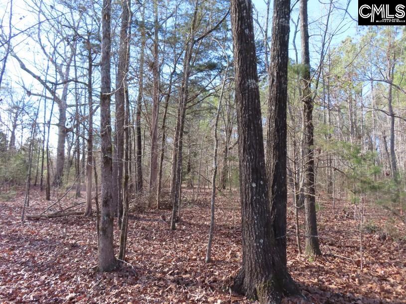 Rhinehart Road Batesburg, SC 29006