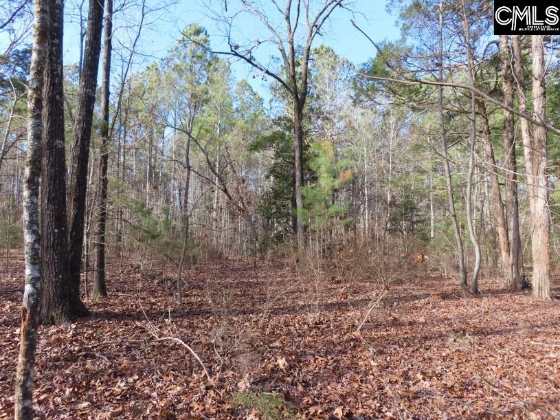Rhinehart Road, Batesburg, South Carolina image 10