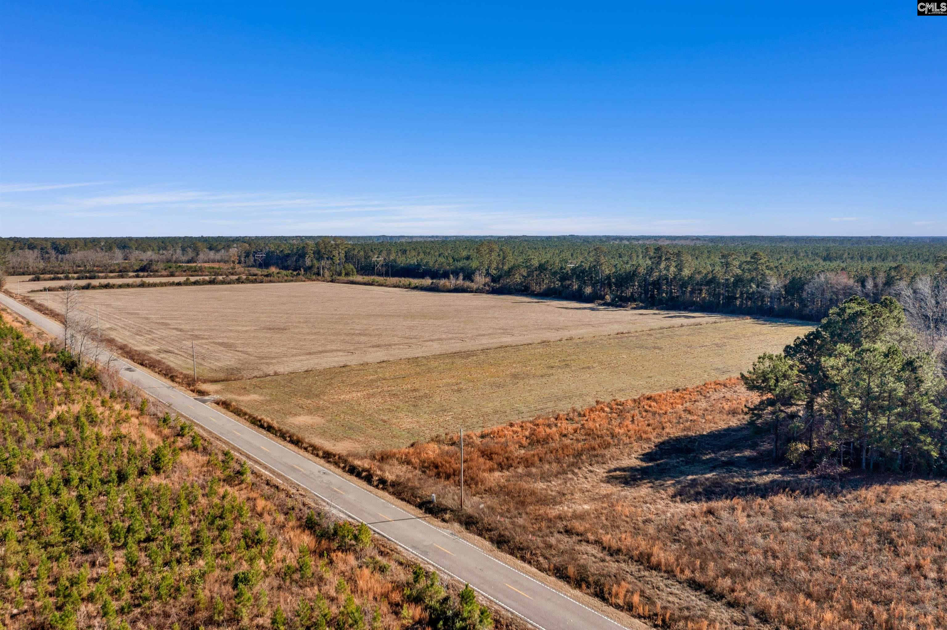 1745 Williams Hill Road #1, Hemingway, South Carolina image 1