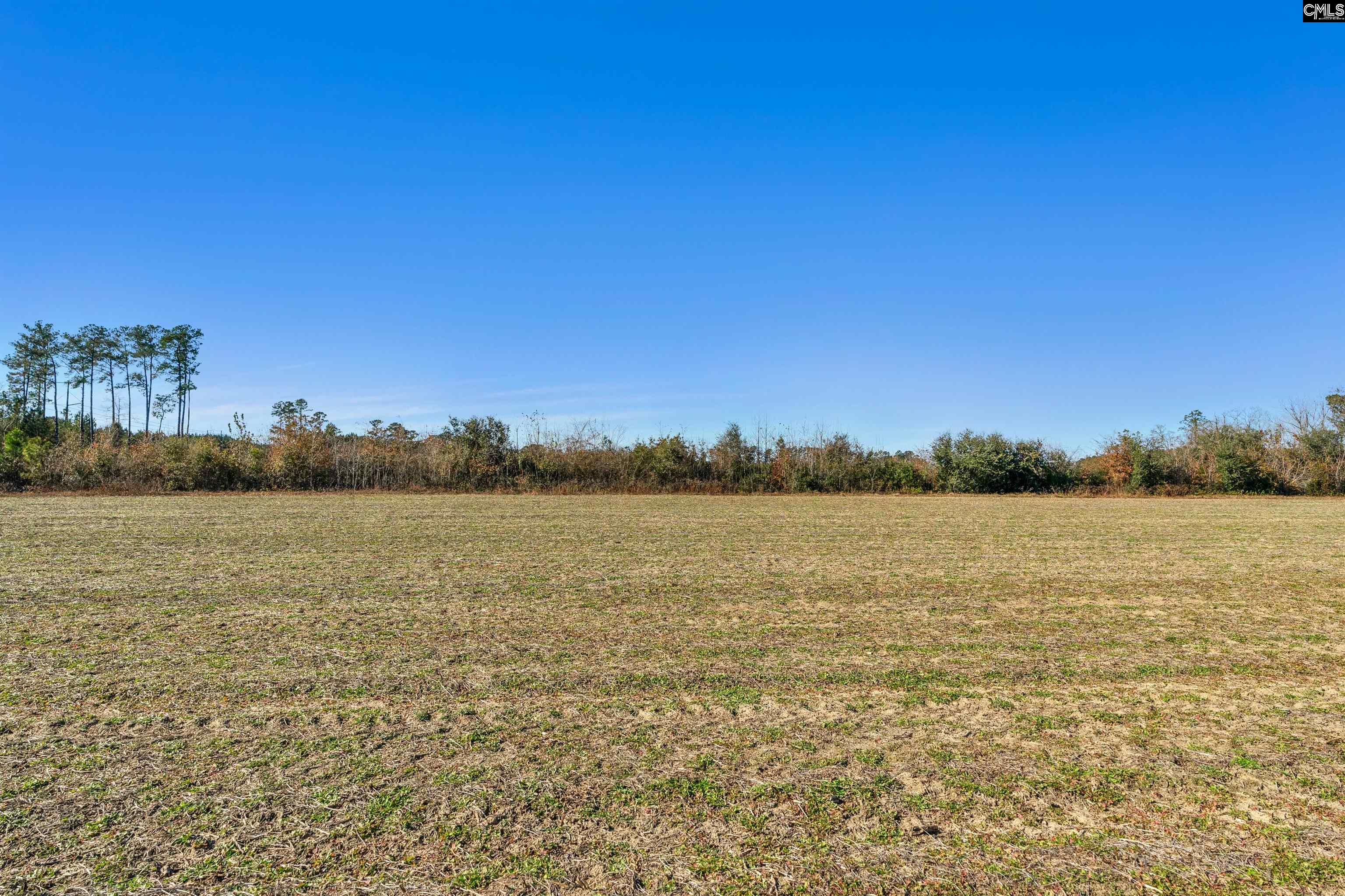 1745 Williams Hill Road #1, Hemingway, South Carolina image 11