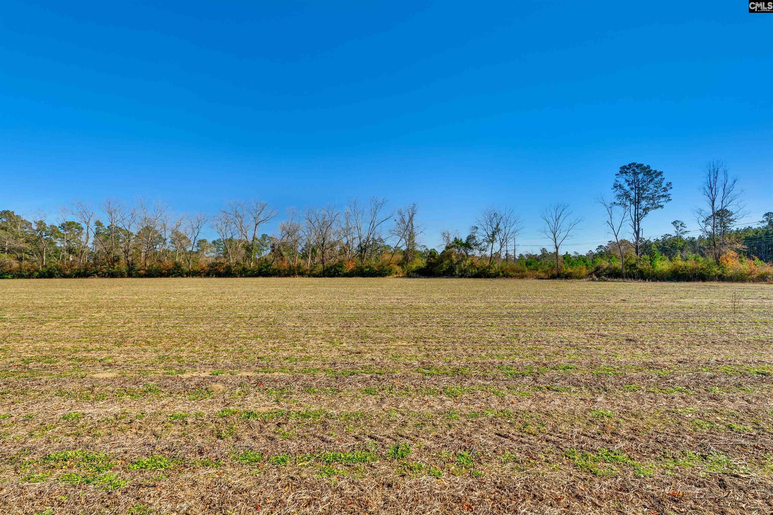 1745 Williams Hill Road #1, Hemingway, South Carolina image 13