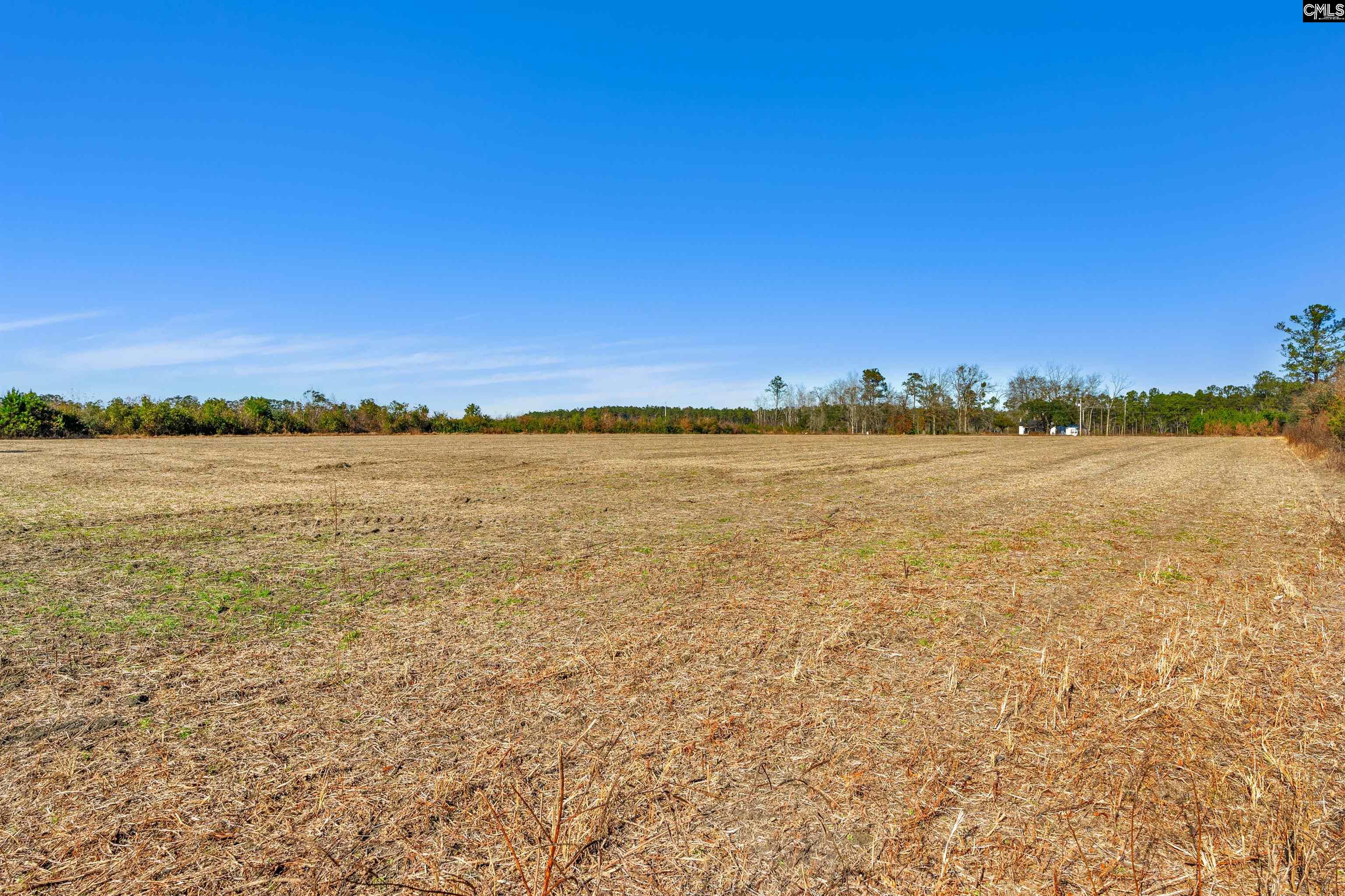 1745 Williams Hill Road #1, Hemingway, South Carolina image 15