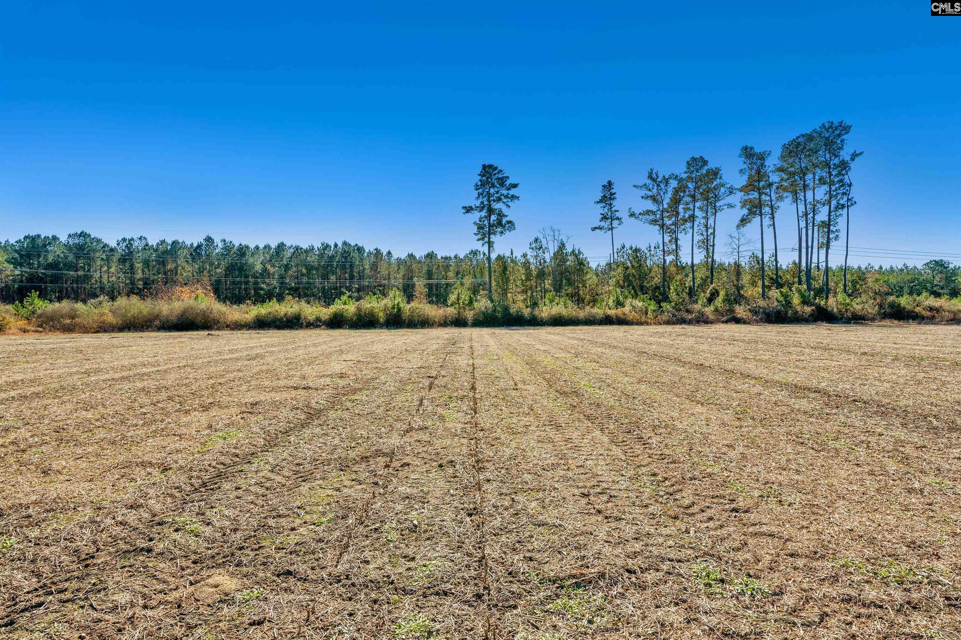 1745 Williams Hill Road #1, Hemingway, South Carolina image 17