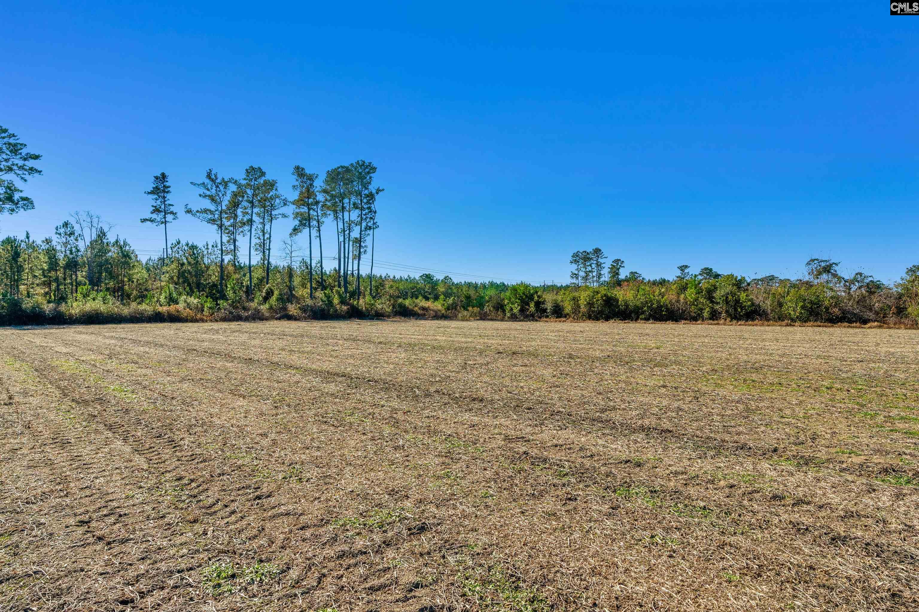 1745 Williams Hill Road #1, Hemingway, South Carolina image 18