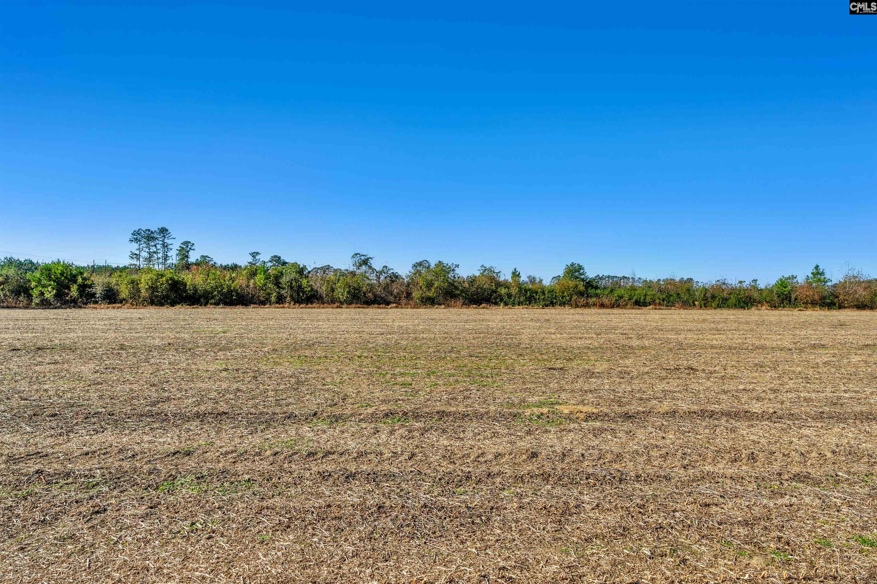 1745 Williams Hill Road #1, Hemingway, South Carolina image 19