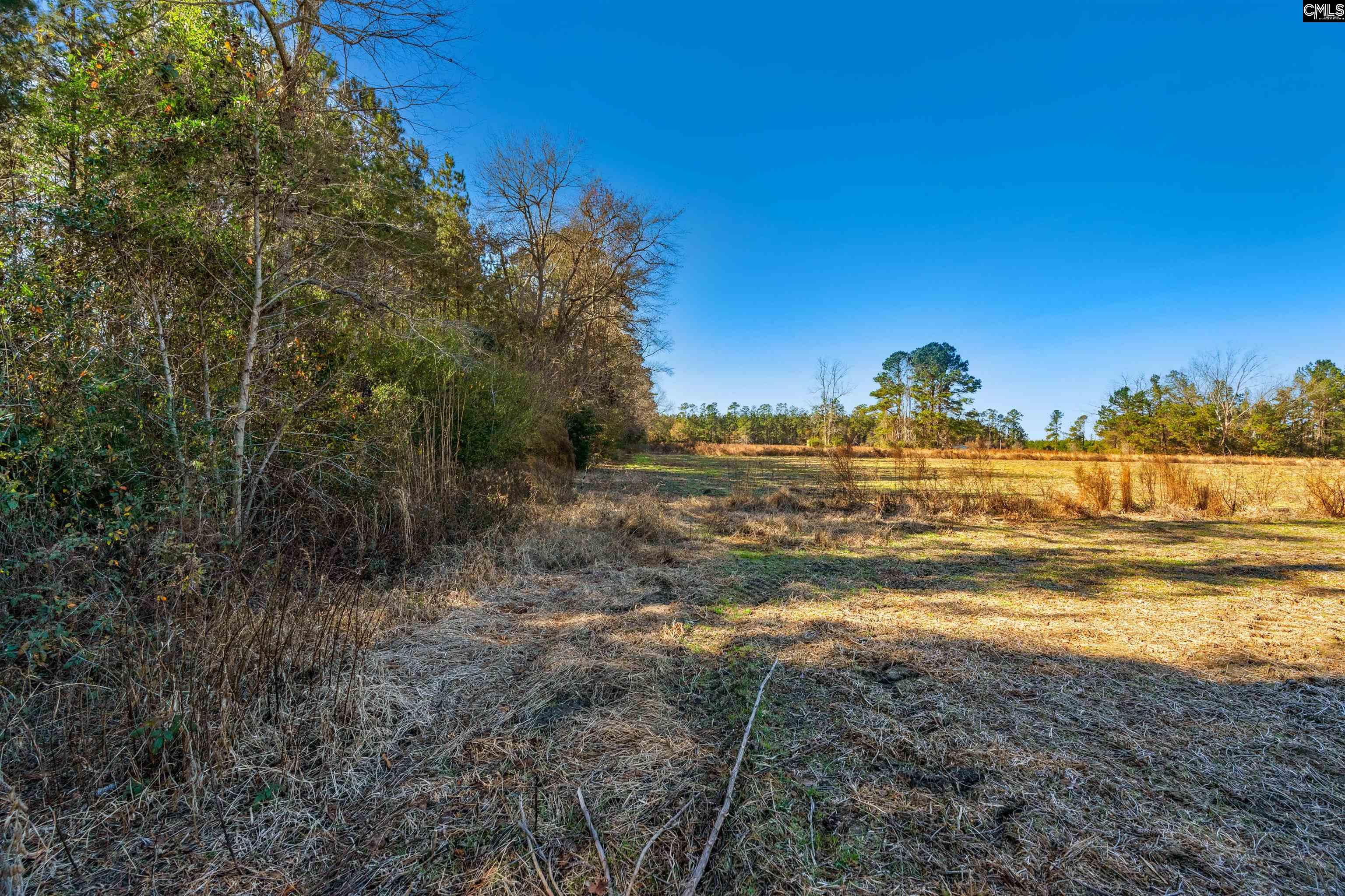 1745 Williams Hill Road #1, Hemingway, South Carolina image 20