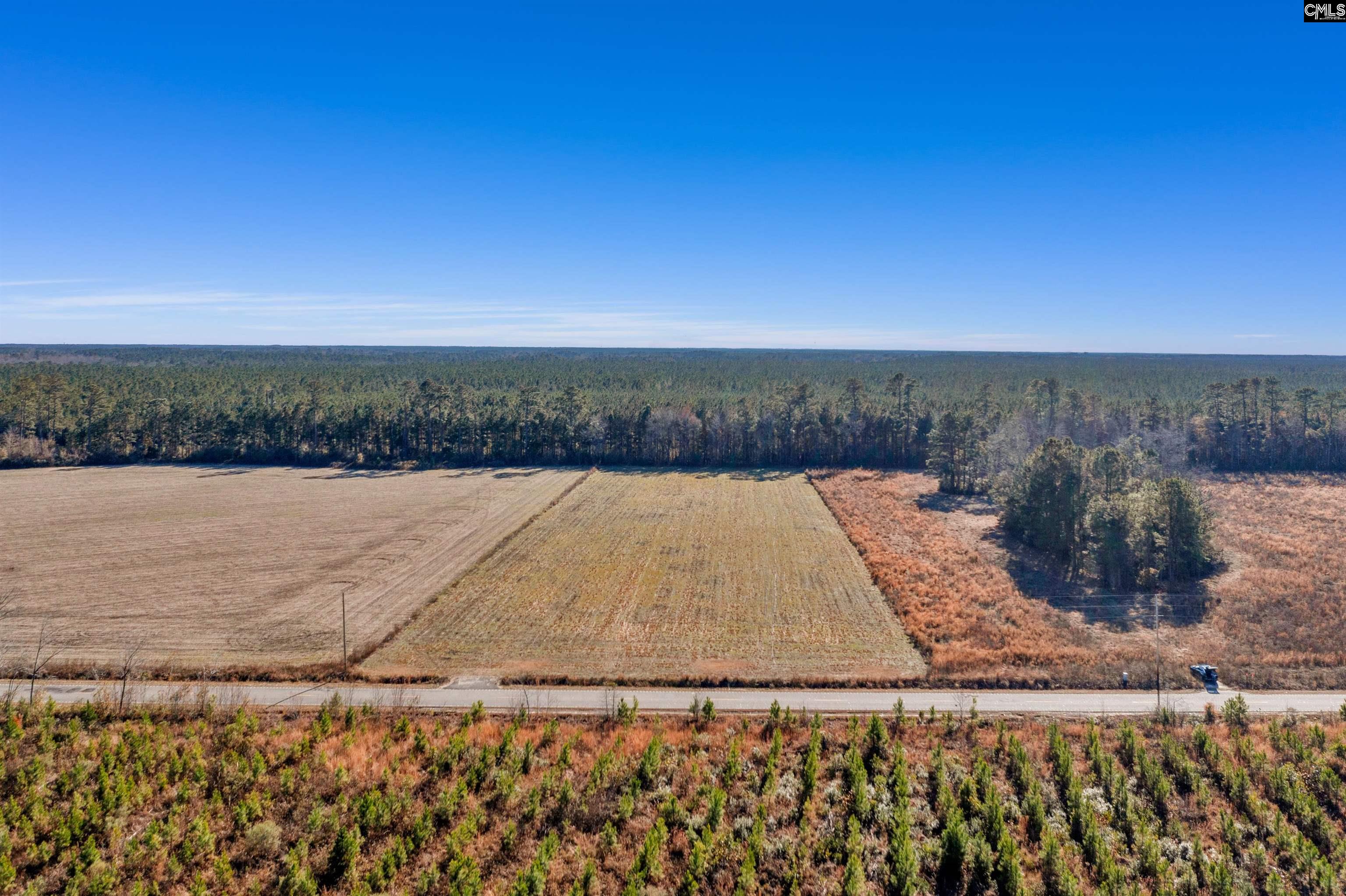 1745 Williams Hill Road #1, Hemingway, South Carolina image 3