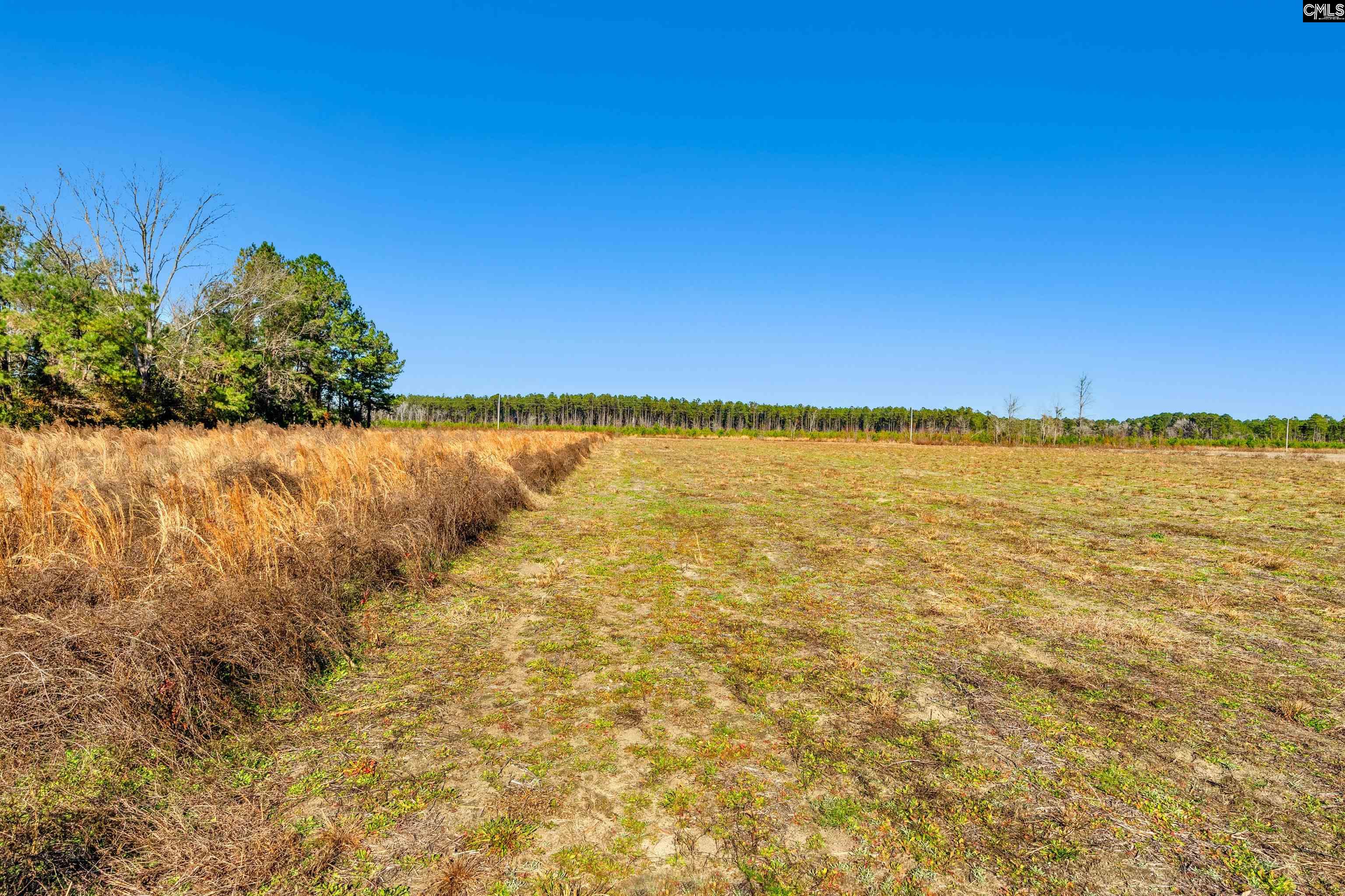 1745 Williams Hill Road #1, Hemingway, South Carolina image 21
