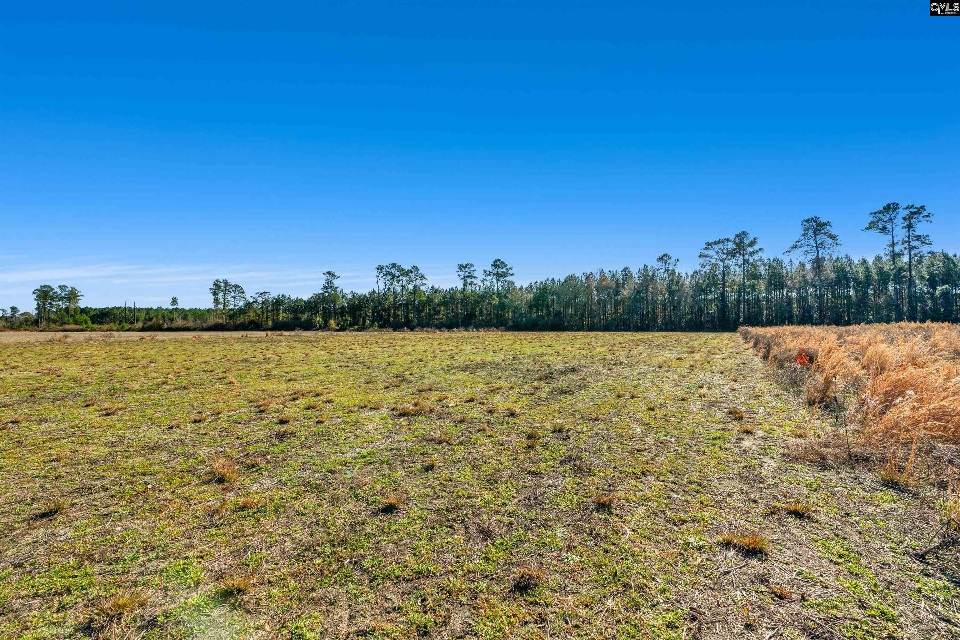 1745 Williams Hill Road #1, Hemingway, South Carolina image 22
