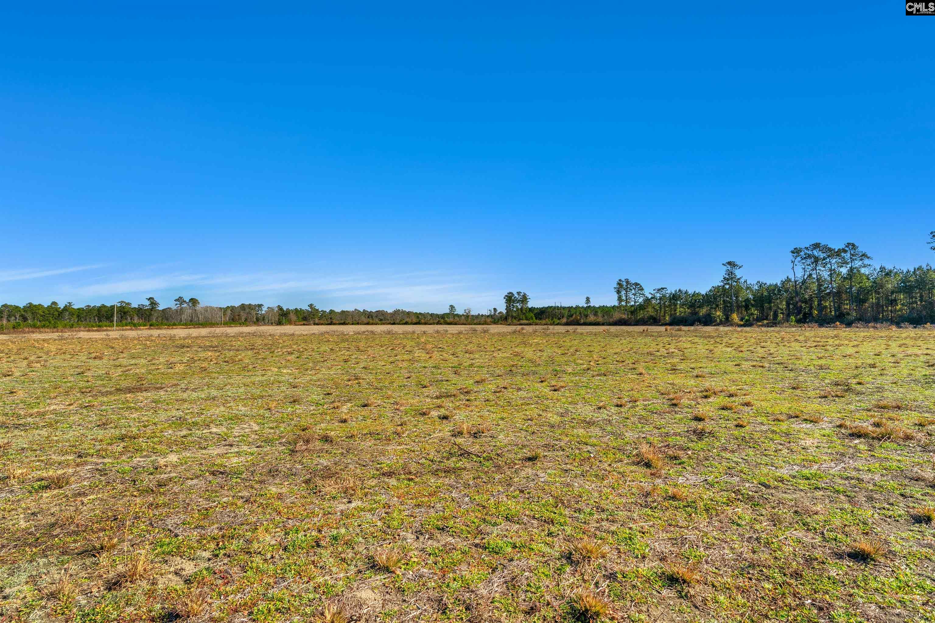 1745 Williams Hill Road #1, Hemingway, South Carolina image 23