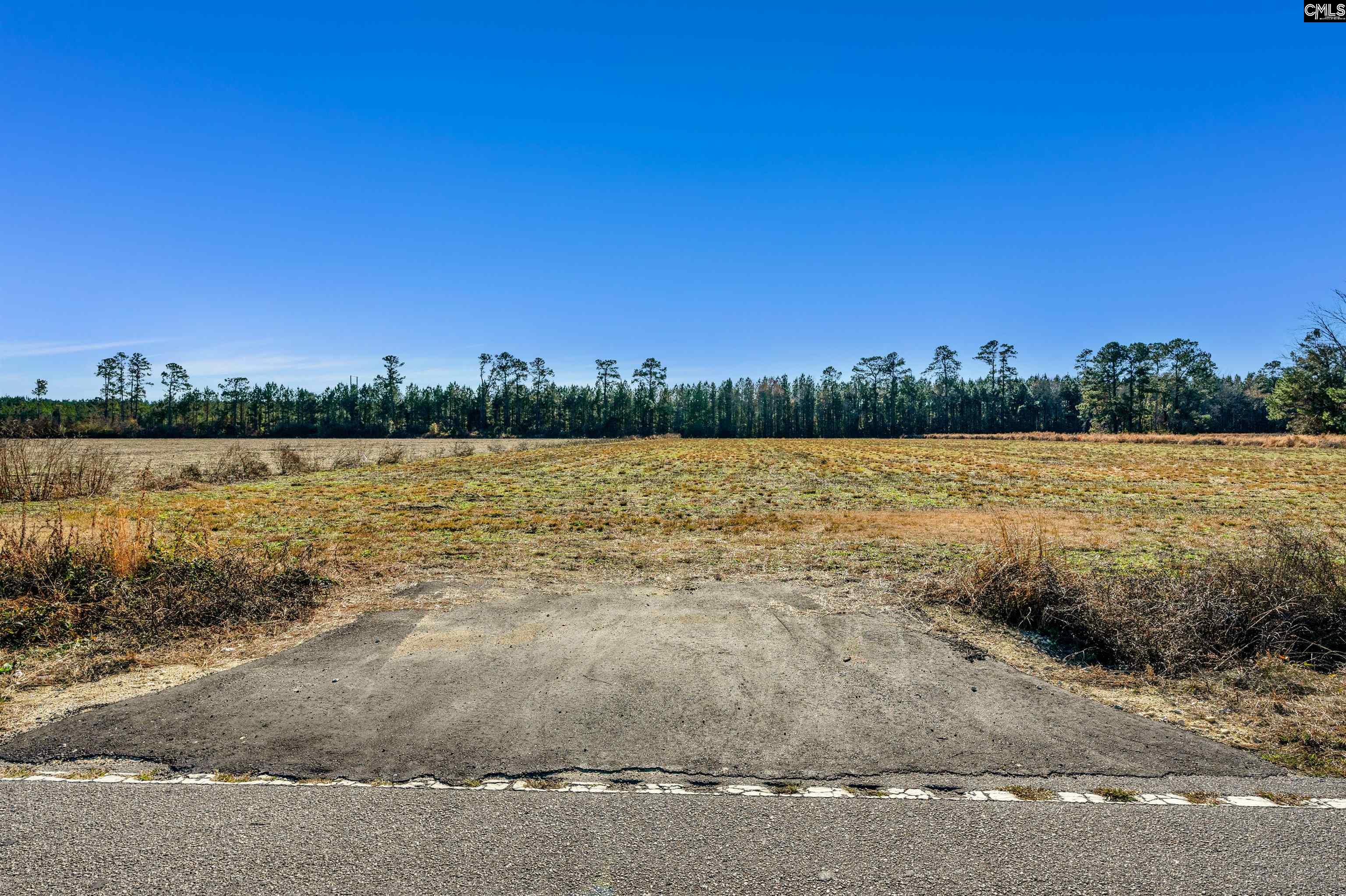 1745 Williams Hill Road #1, Hemingway, South Carolina image 24