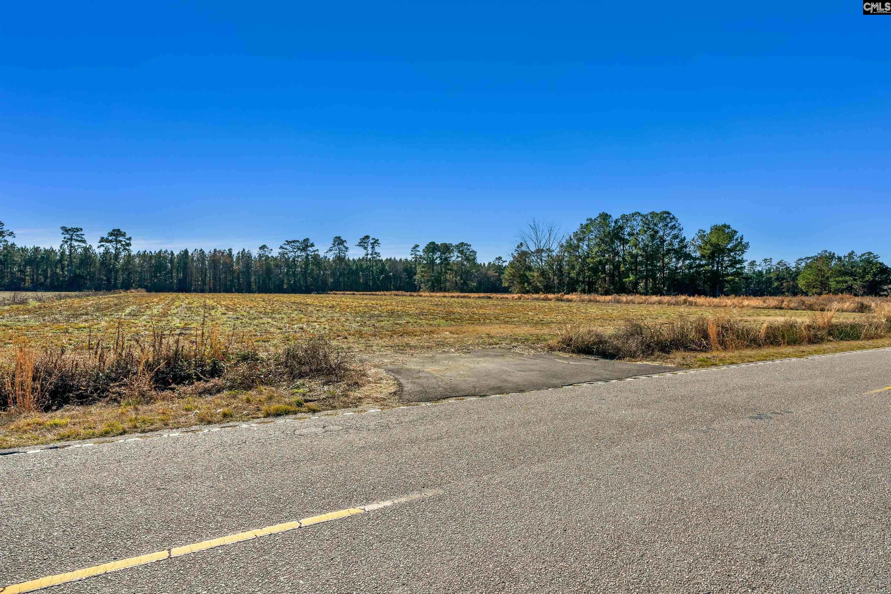1745 Williams Hill Road #1, Hemingway, South Carolina image 25