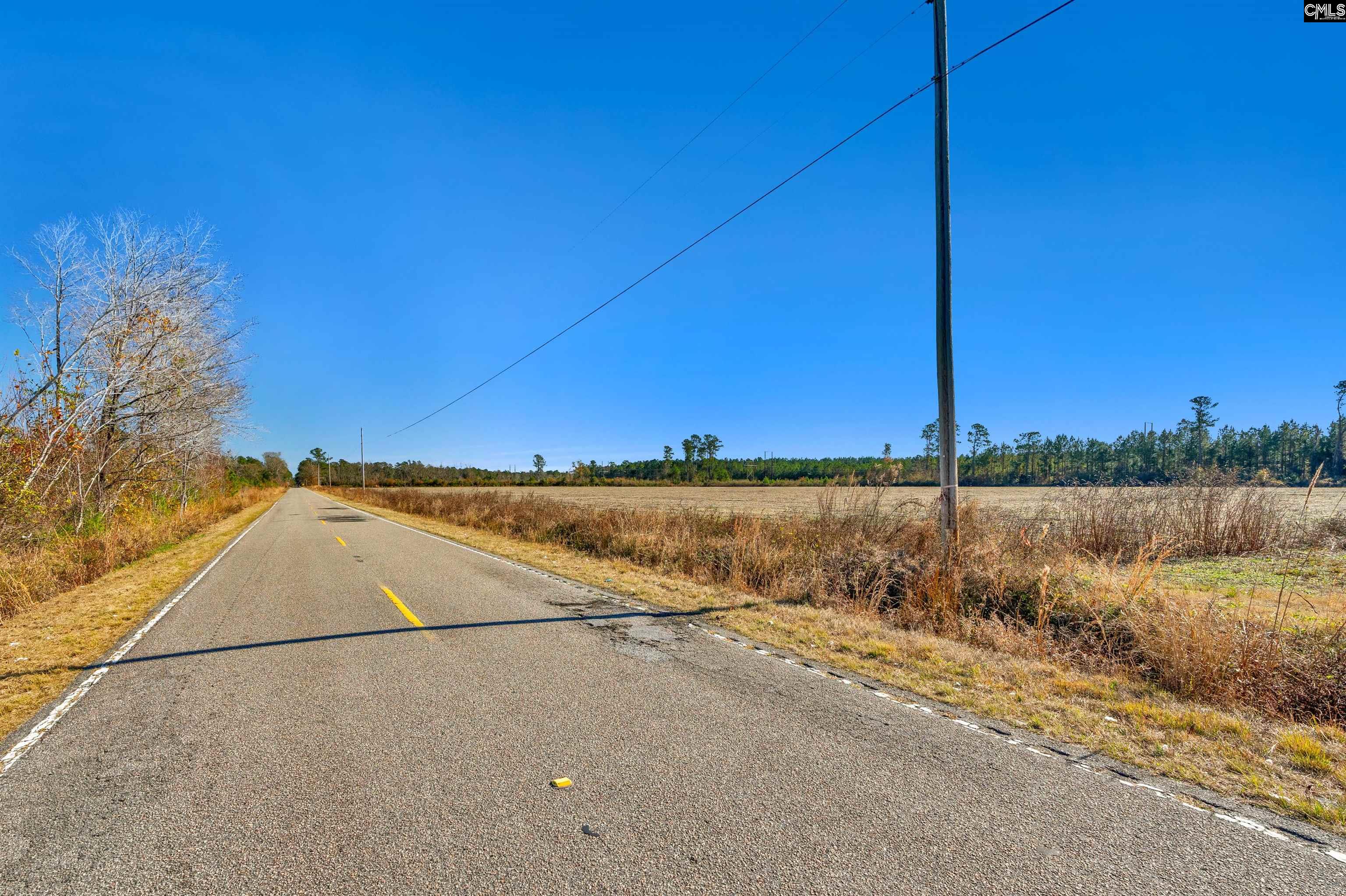 1745 Williams Hill Road #1, Hemingway, South Carolina image 4
