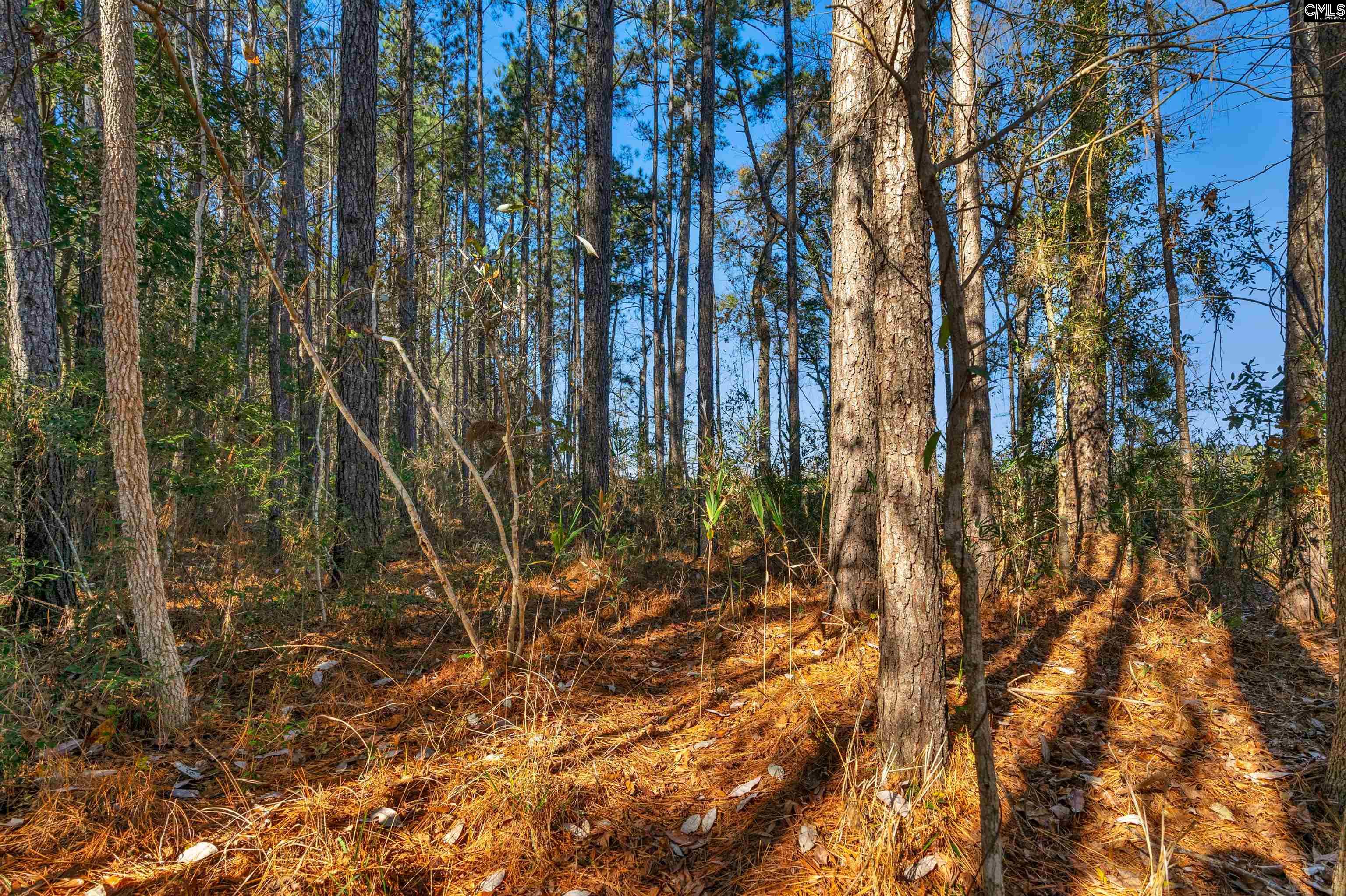 1745 Williams Hill Road #6, Hemingway, South Carolina image 11
