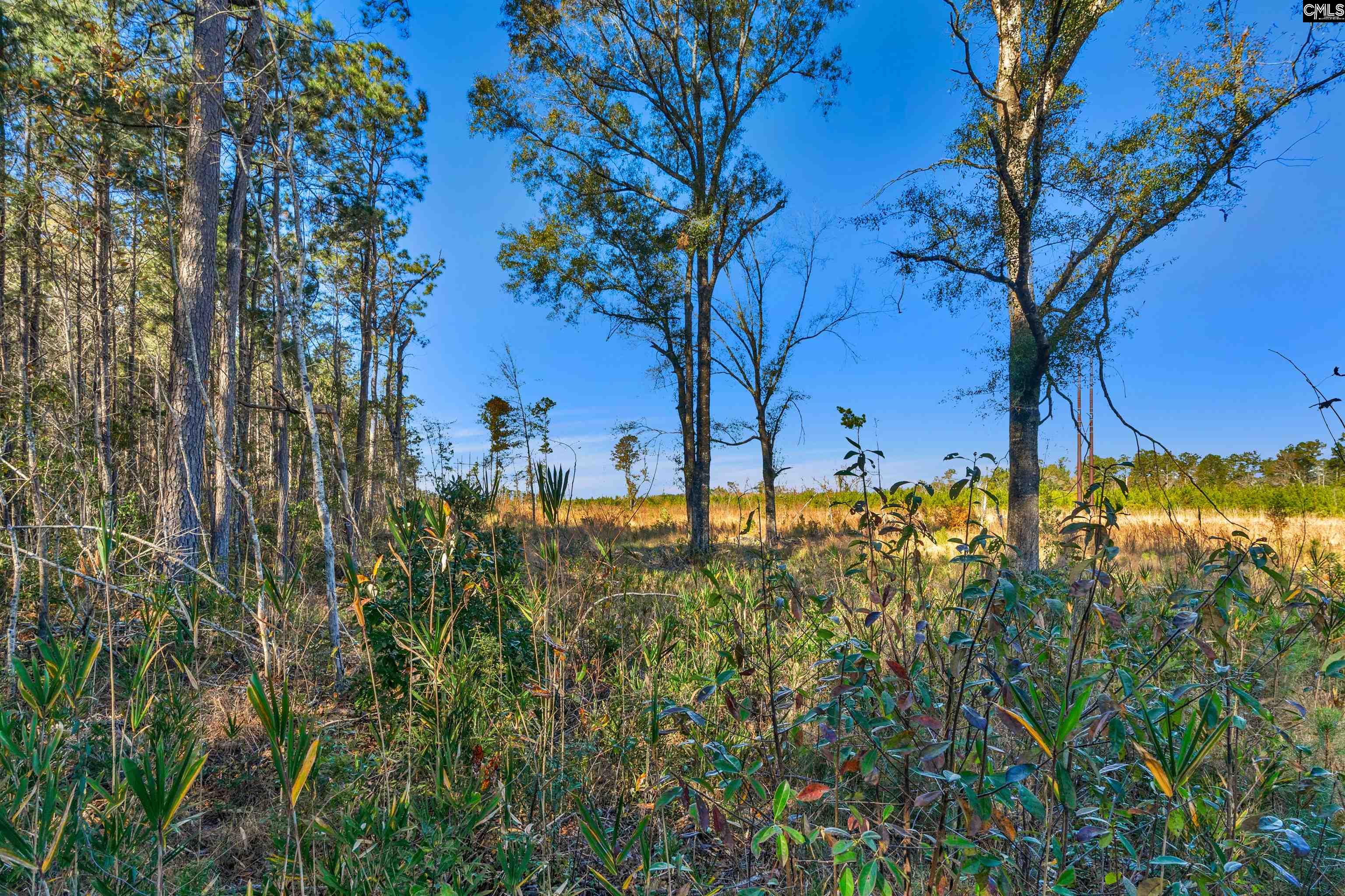 1745 Williams Hill Road #6, Hemingway, South Carolina image 12