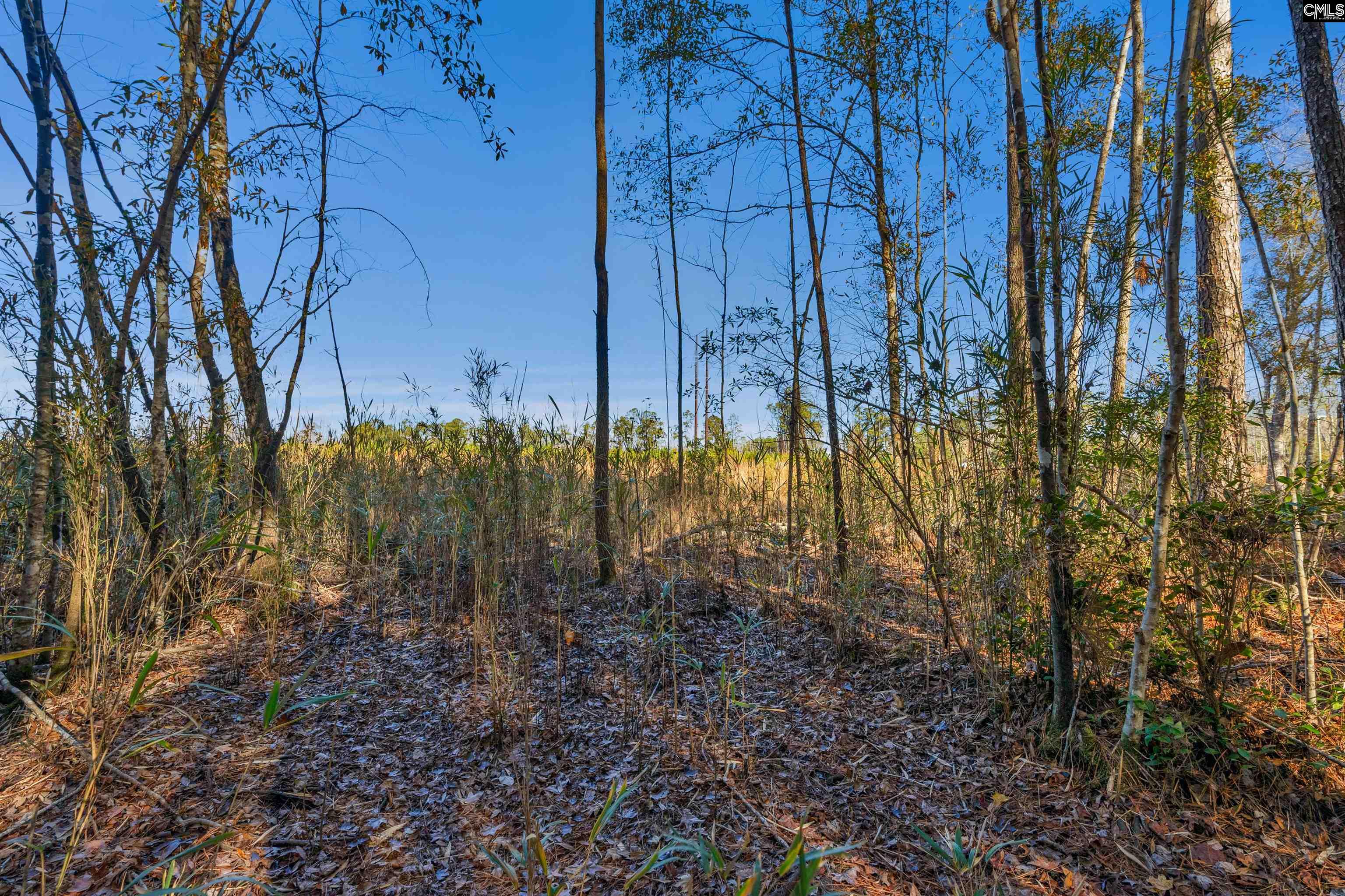 1745 Williams Hill Road #6, Hemingway, South Carolina image 14