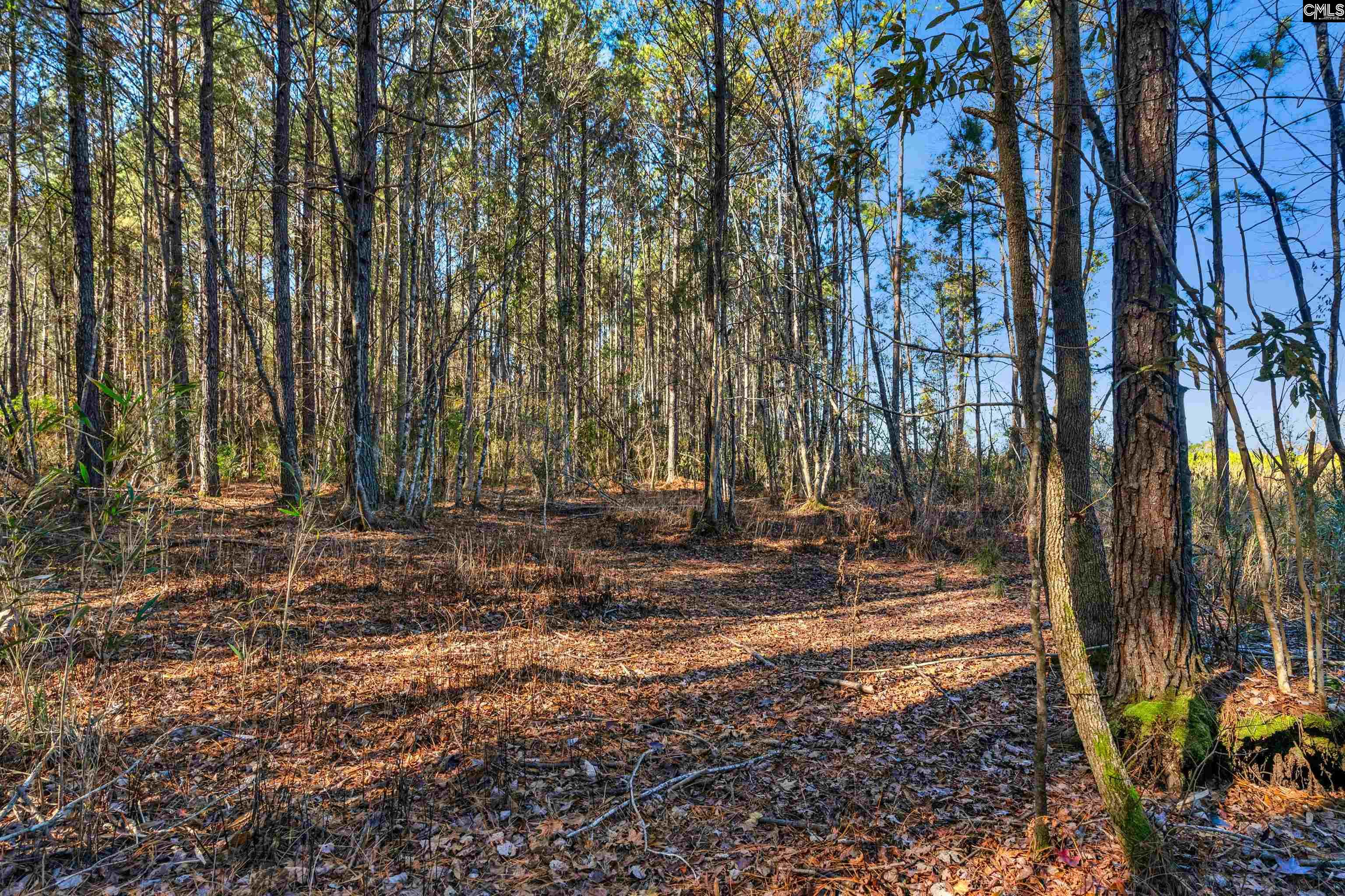 1745 Williams Hill Road #6, Hemingway, South Carolina image 15