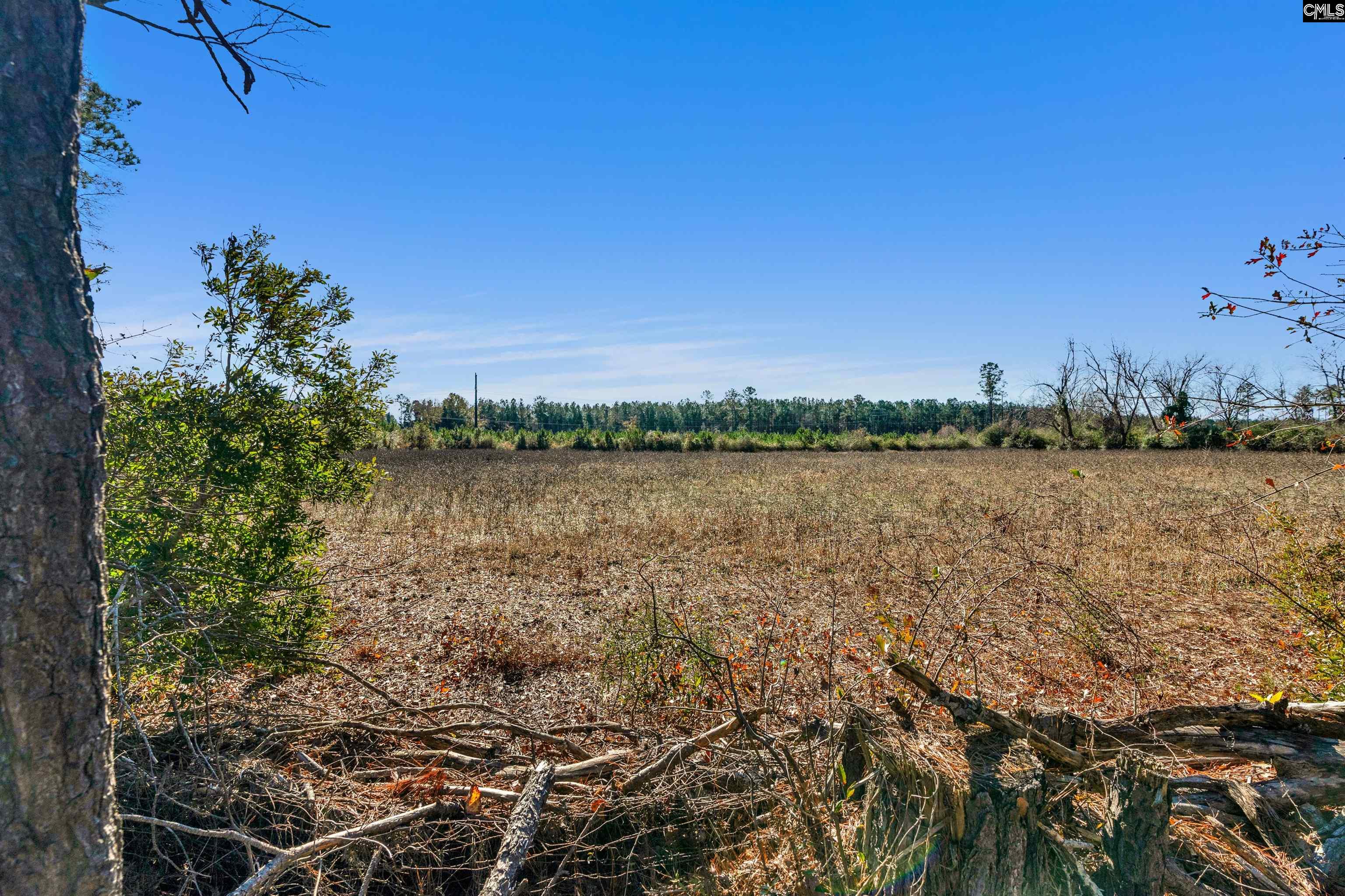 1745 Williams Hill Road #6, Hemingway, South Carolina image 16
