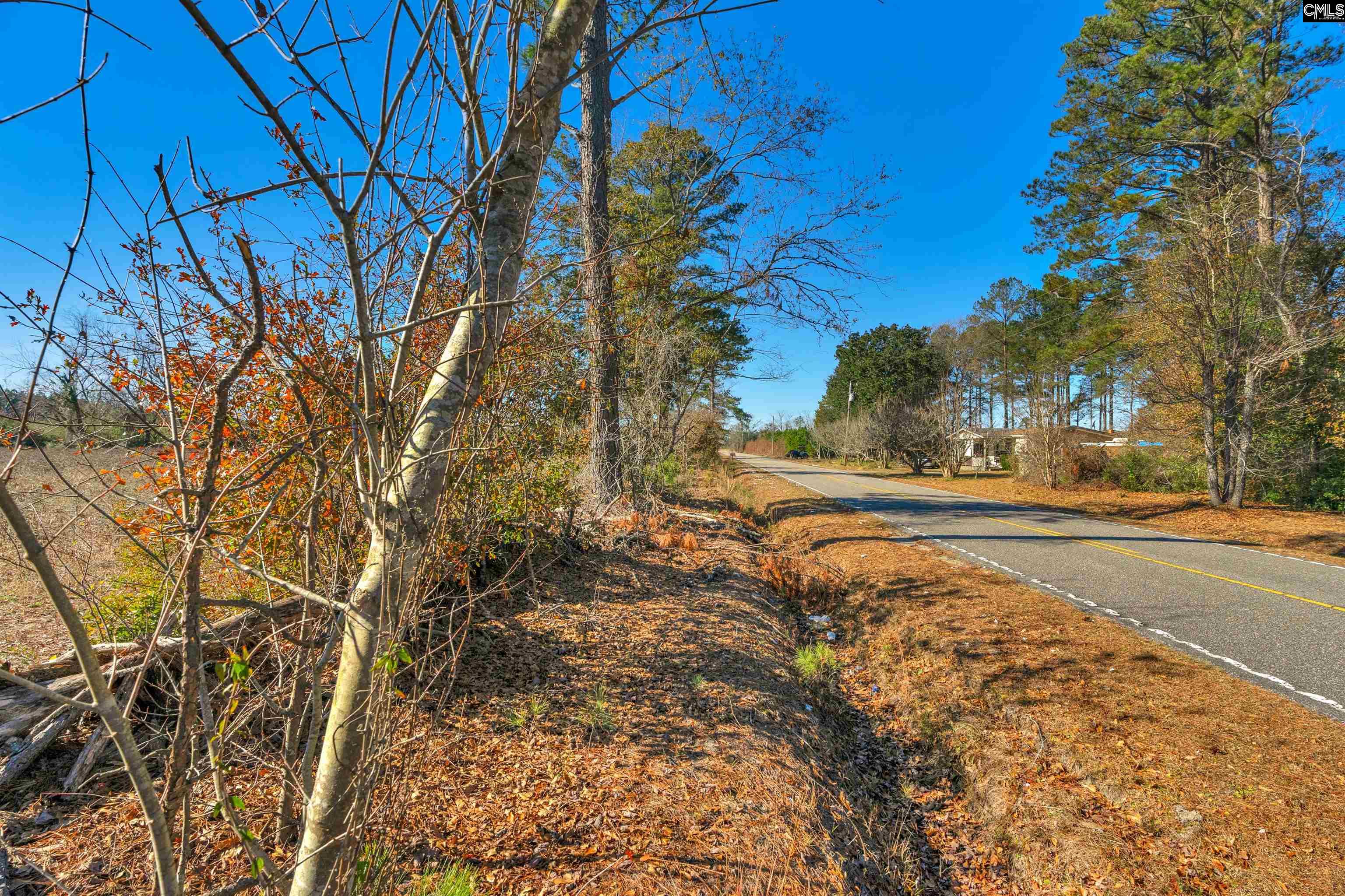 1745 Williams Hill Road #6, Hemingway, South Carolina image 17