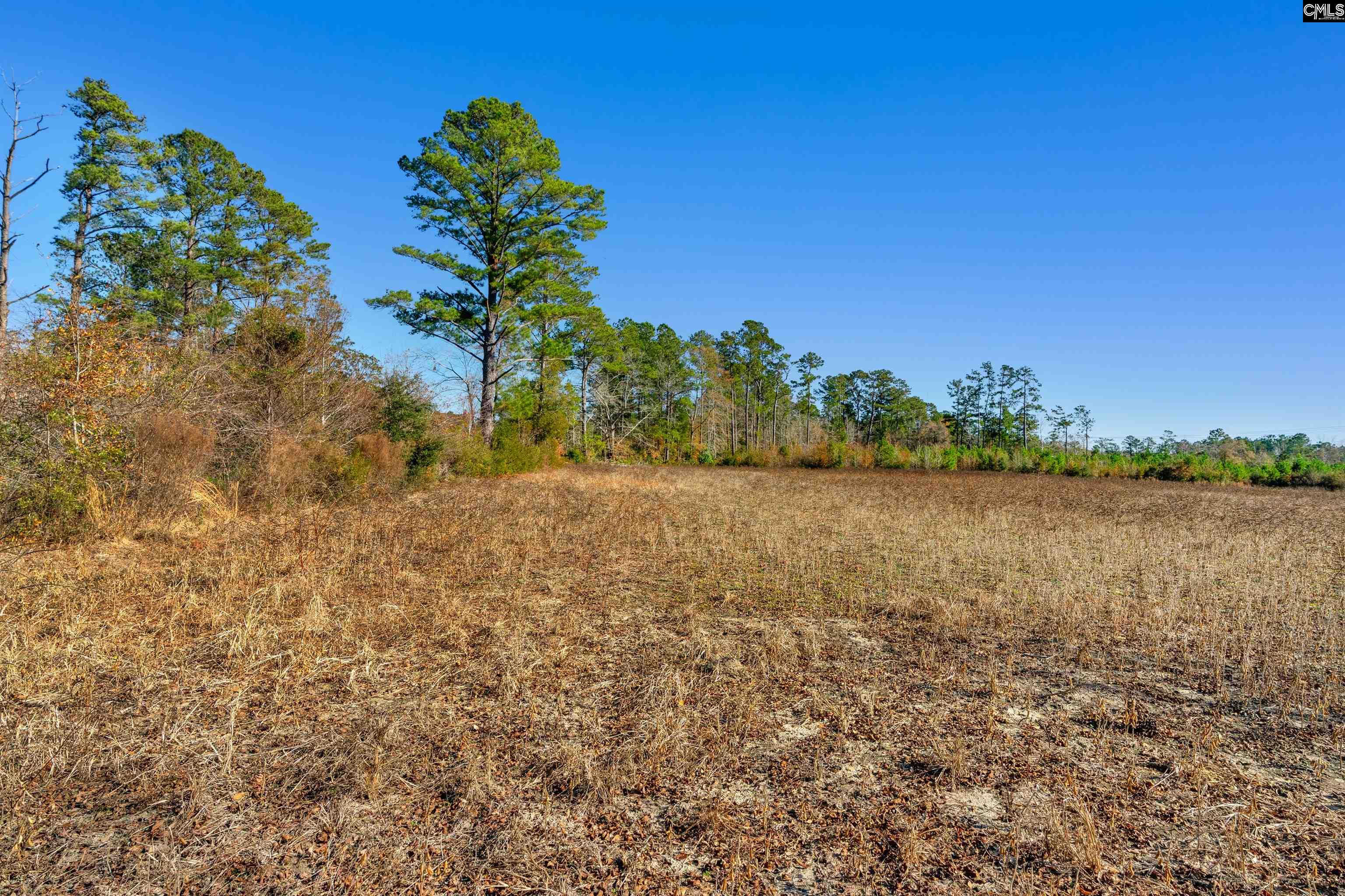 1745 Williams Hill Road #6, Hemingway, South Carolina image 18
