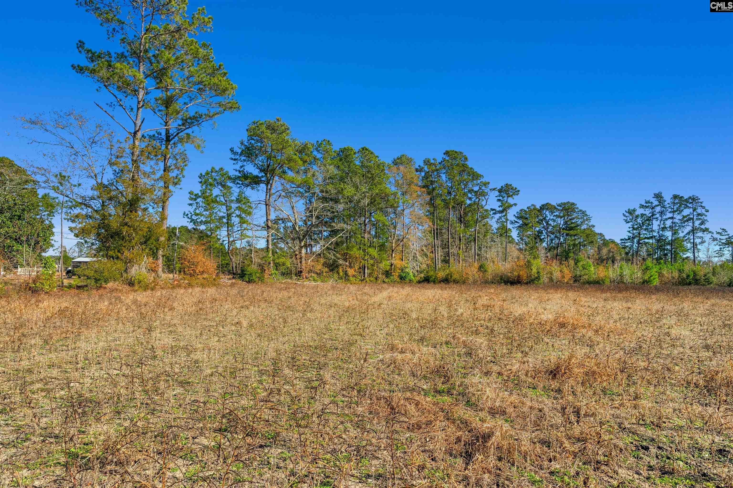 1745 Williams Hill Road #6, Hemingway, South Carolina image 19