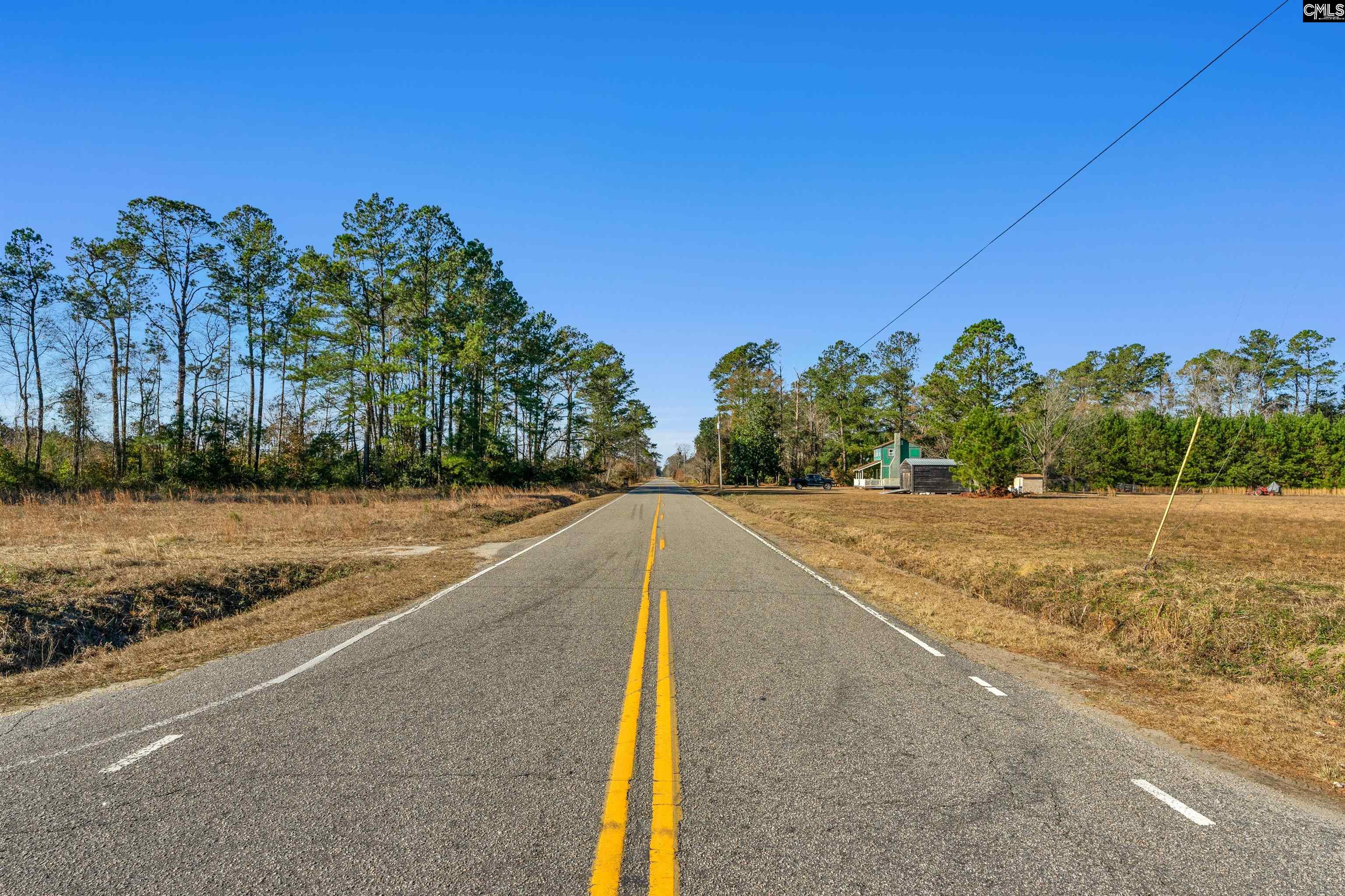 1745 Williams Hill Road #6, Hemingway, South Carolina image 3