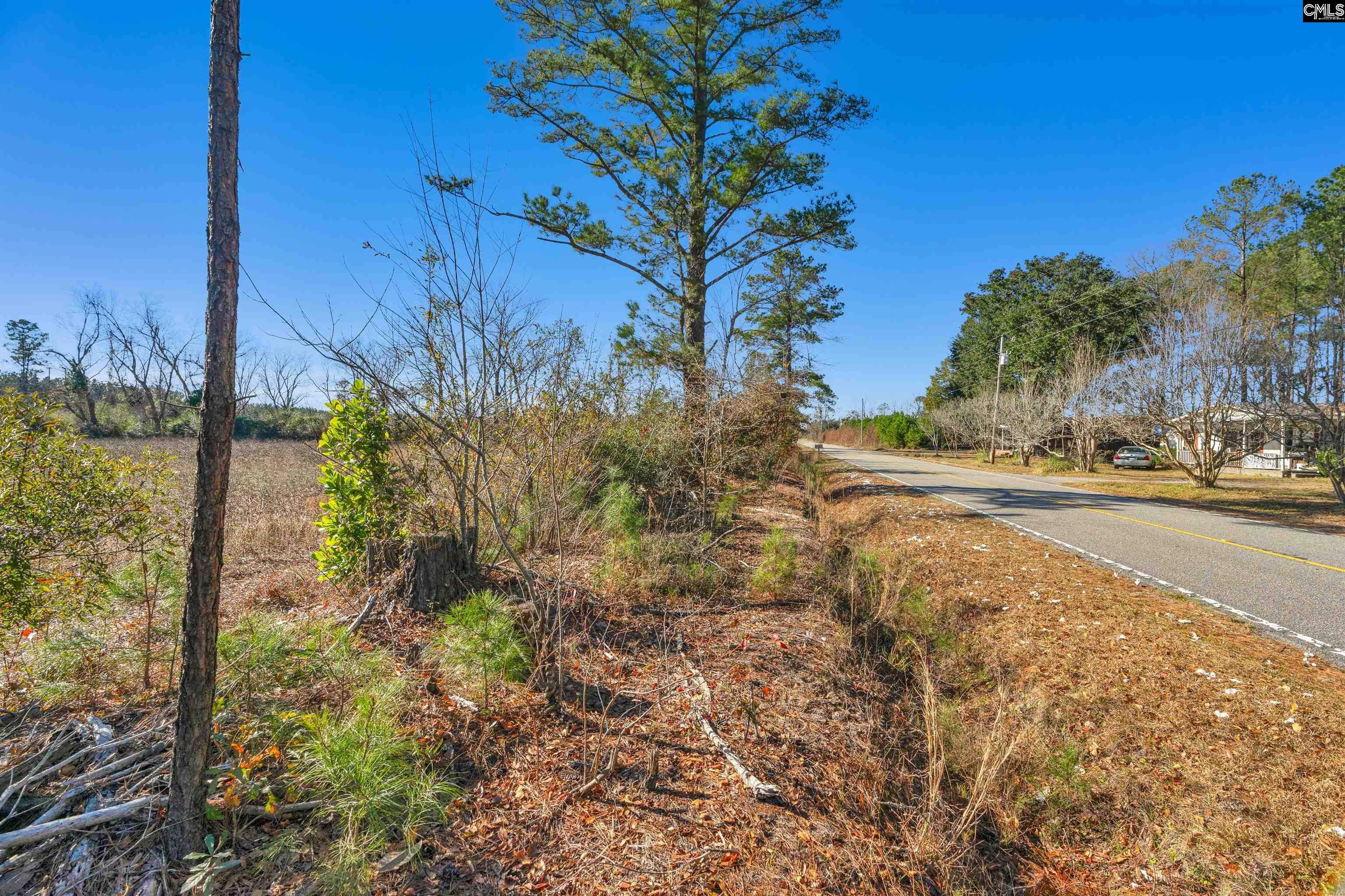 1745 Williams Hill Road #6, Hemingway, South Carolina image 22
