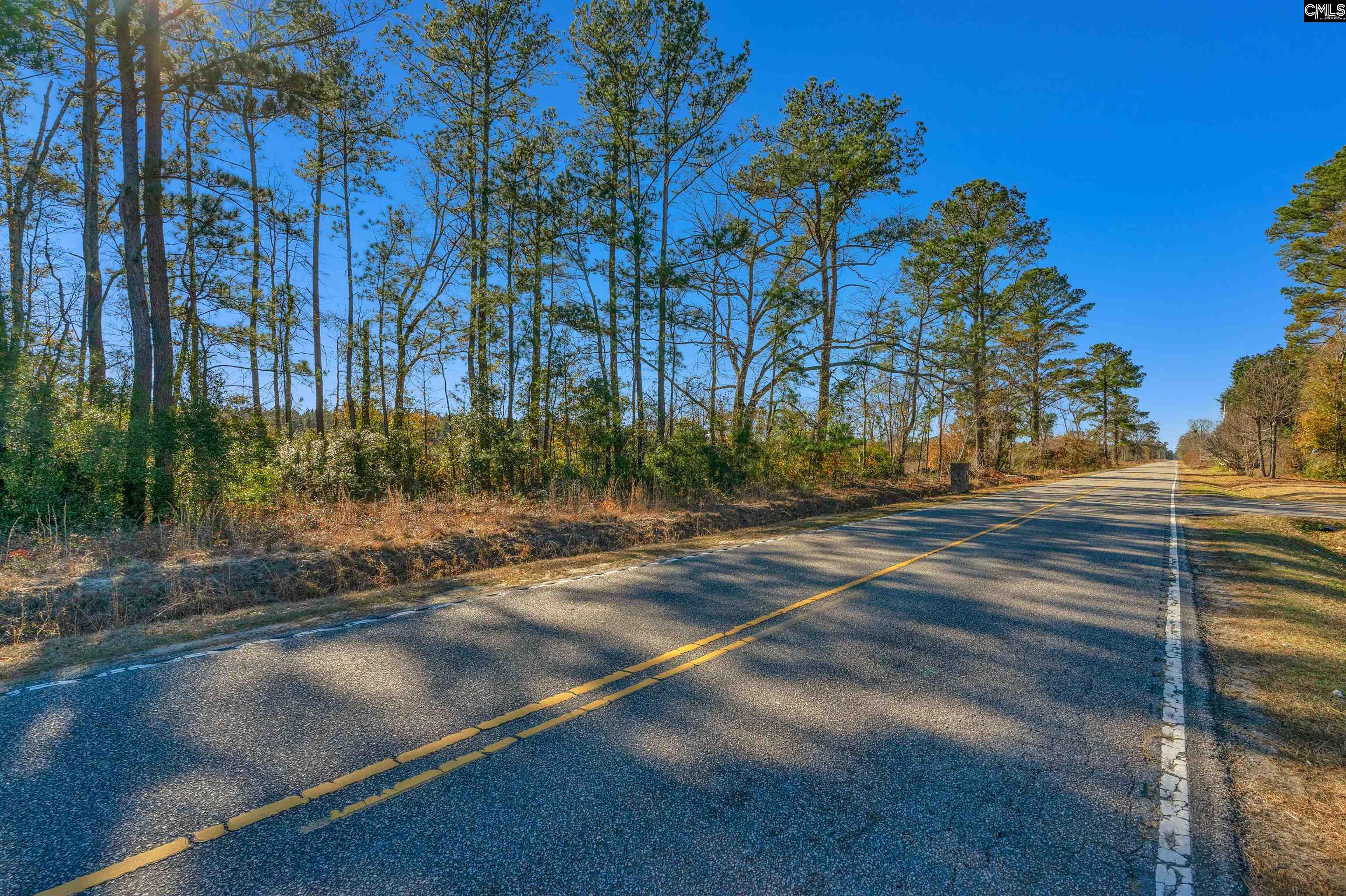 1745 Williams Hill Road #6, Hemingway, South Carolina image 23