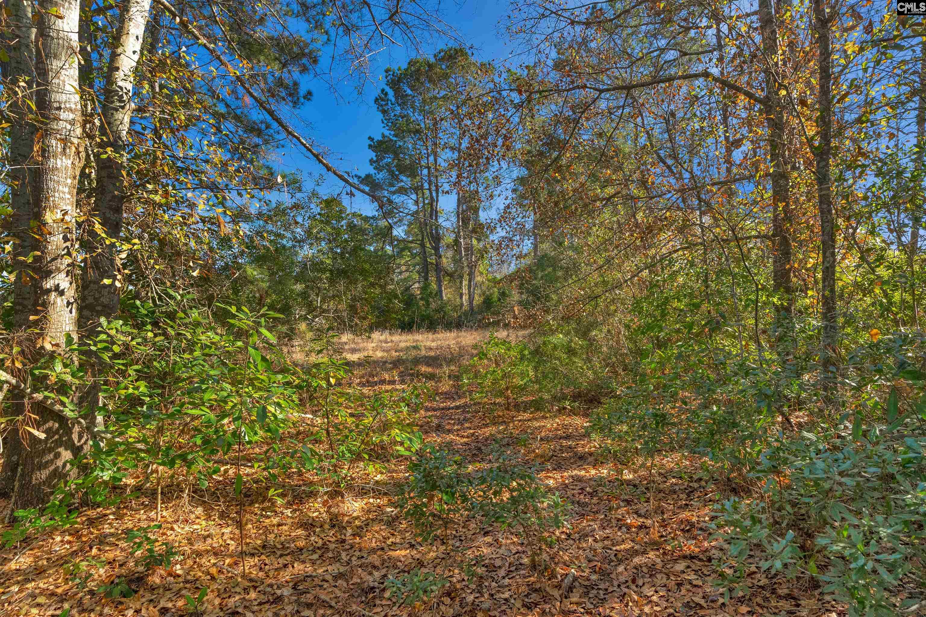 1745 Williams Hill Road #6, Hemingway, South Carolina image 25