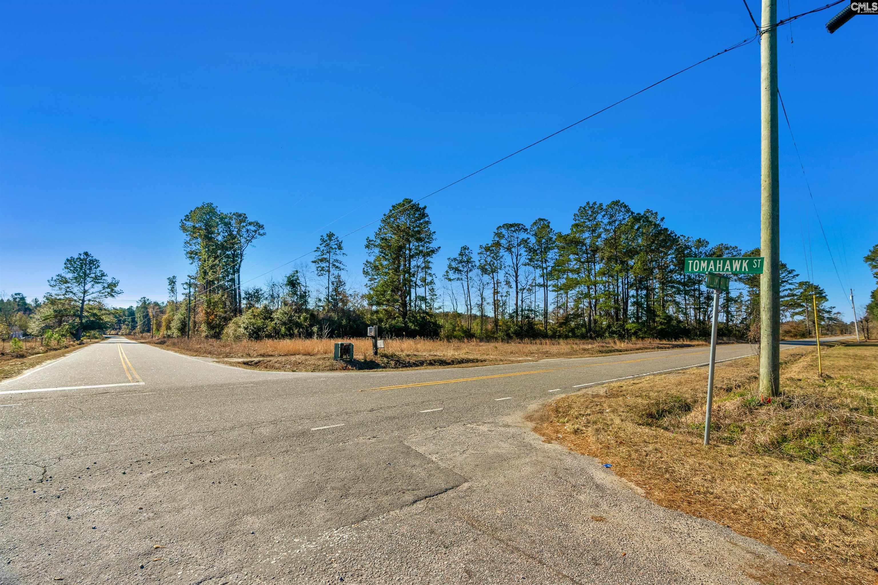 1745 Williams Hill Road #6, Hemingway, South Carolina image 10