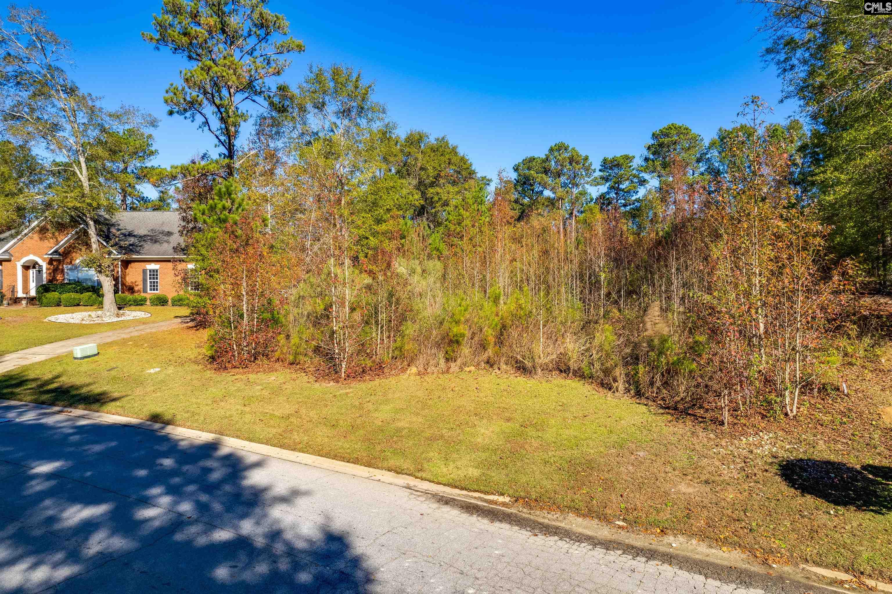 120 Hastings Drive, Columbia, South Carolina image 1