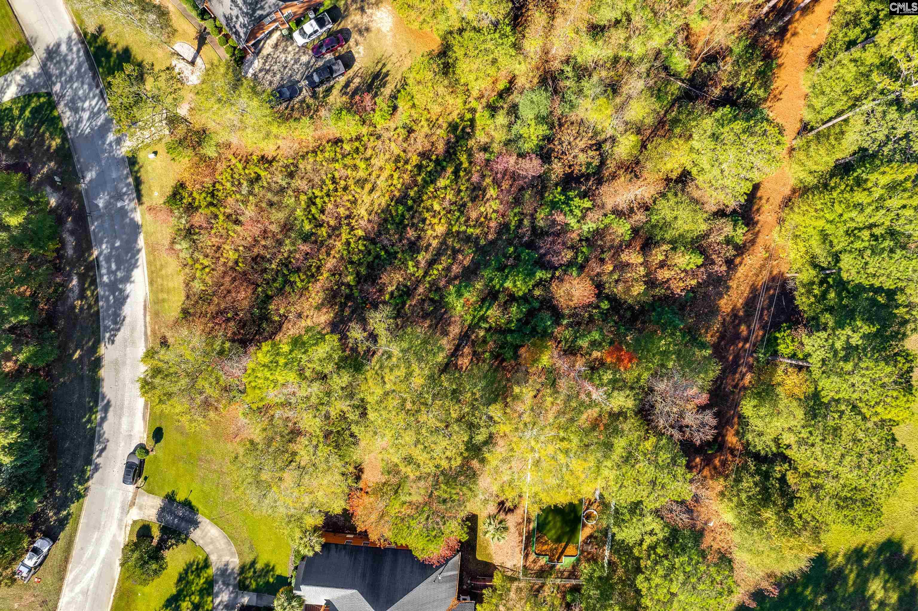 120 Hastings Drive, Columbia, South Carolina image 2