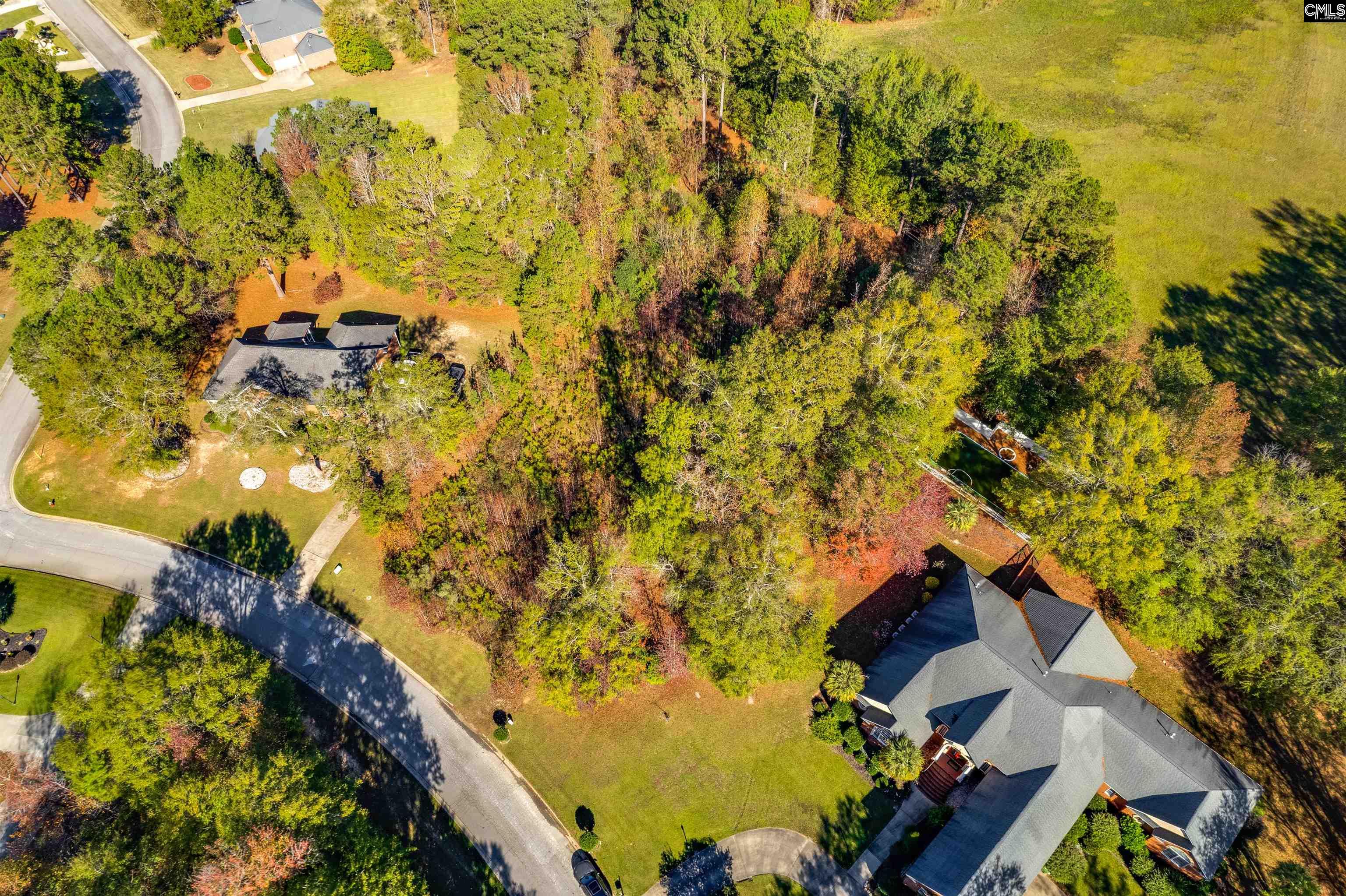 120 Hastings Drive, Columbia, South Carolina image 4