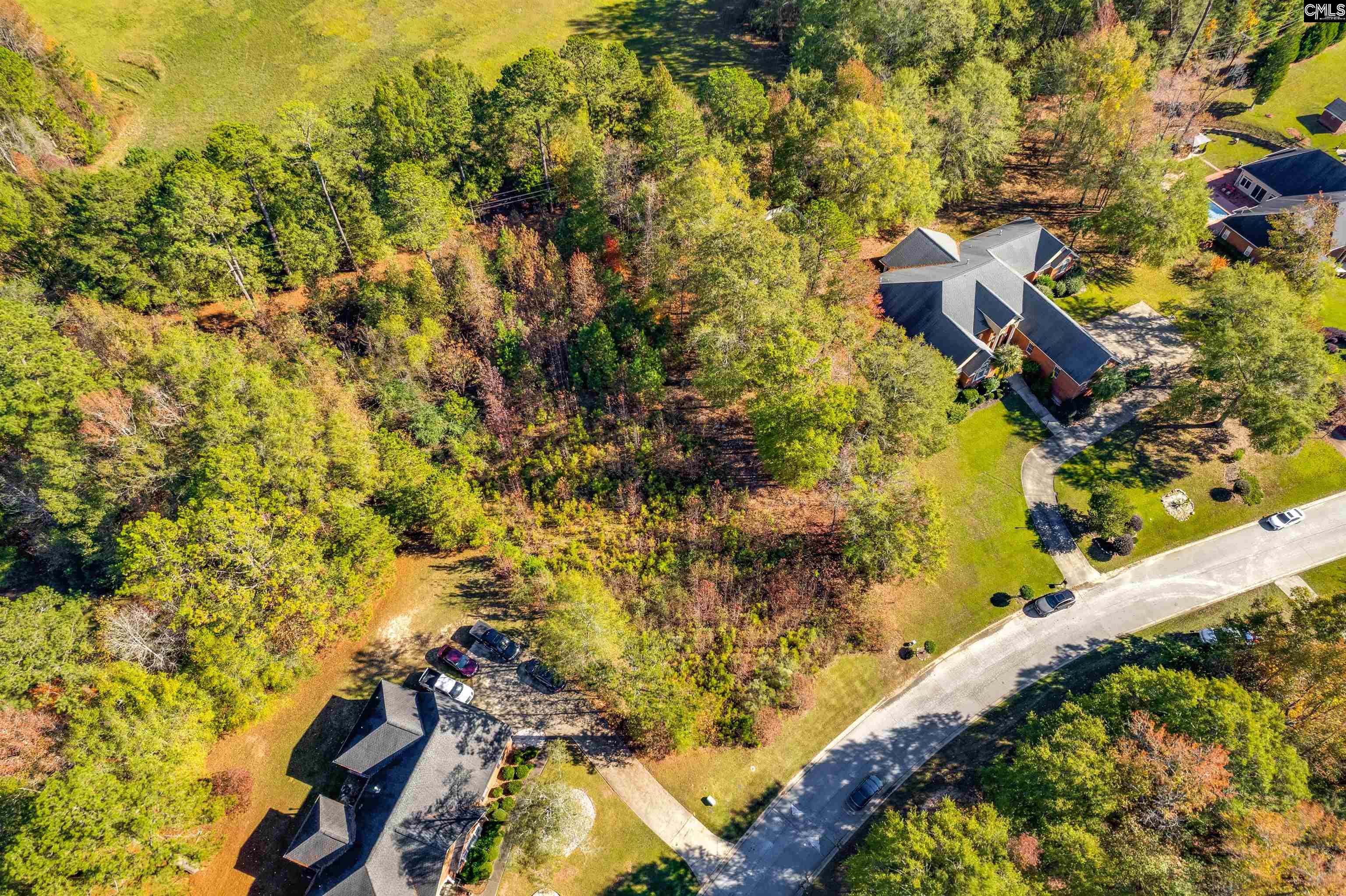 120 Hastings Drive, Columbia, South Carolina image 5