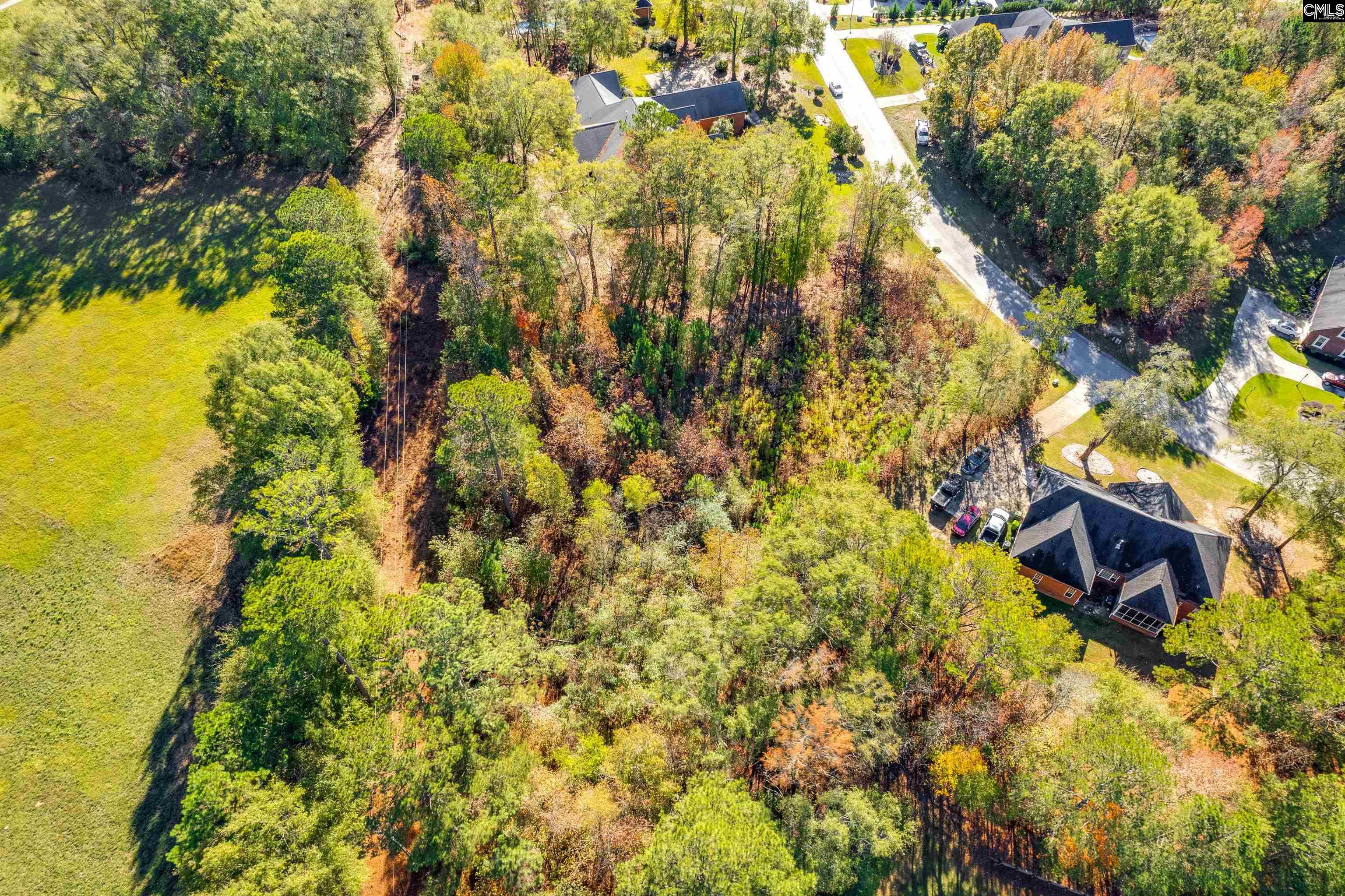 120 Hastings Drive, Columbia, South Carolina image 6