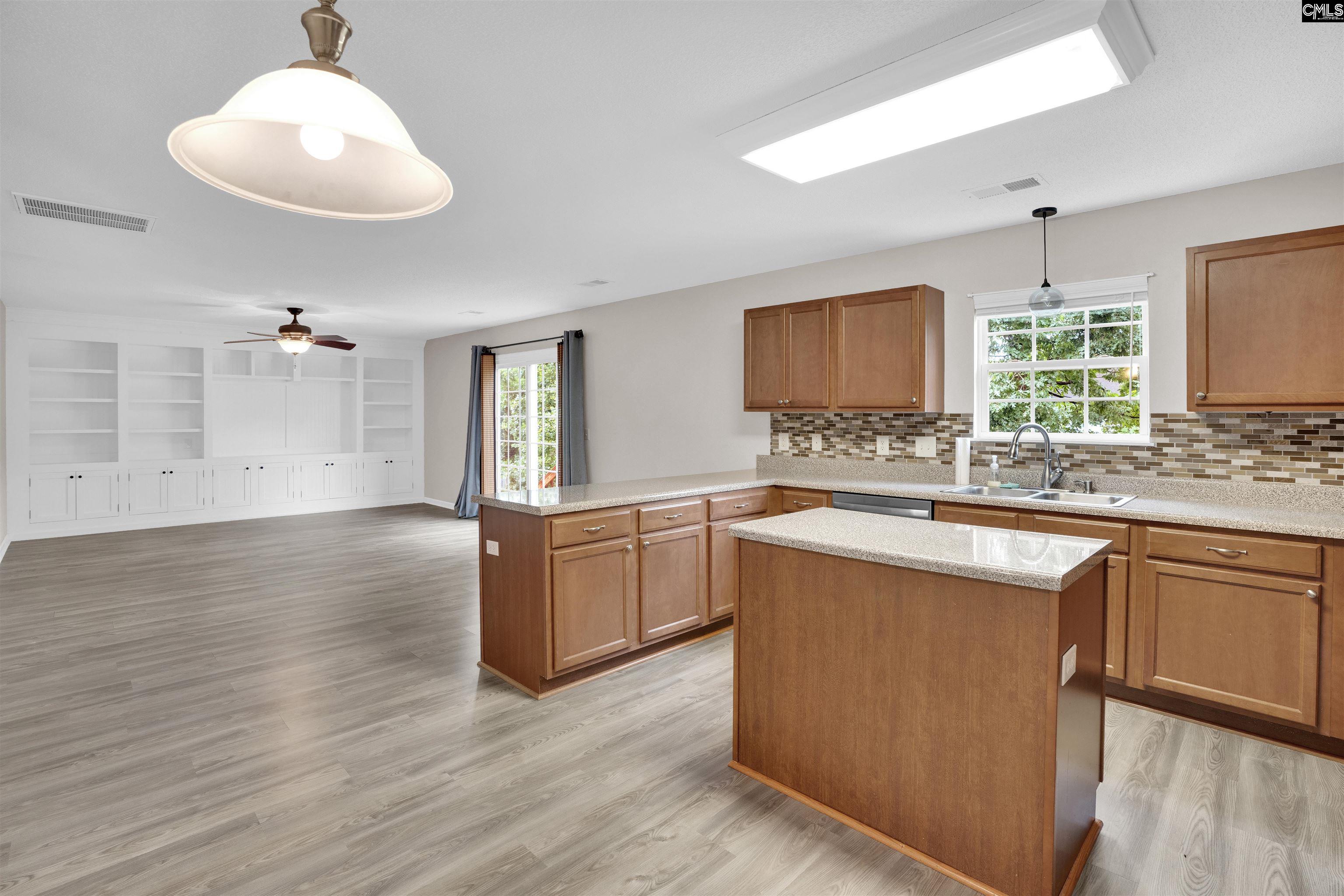 219 Walkbridge Way, Chapin, South Carolina image 11