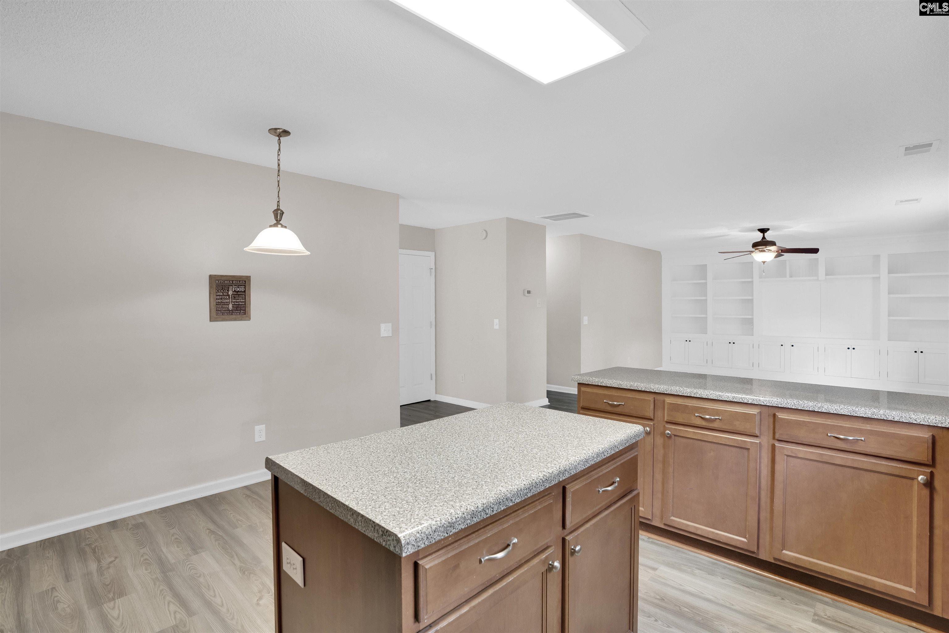 219 Walkbridge Way, Chapin, South Carolina image 12