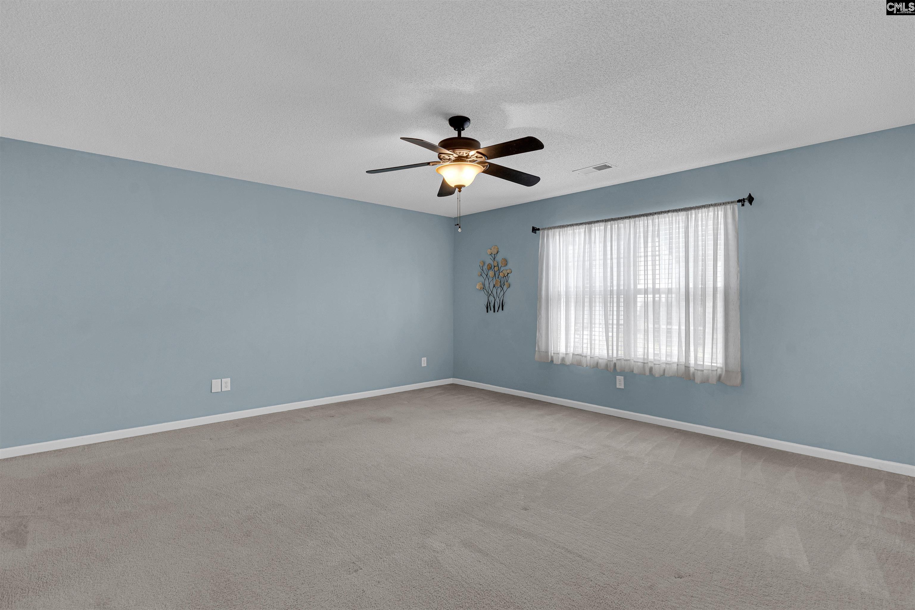 219 Walkbridge Way, Chapin, South Carolina image 22