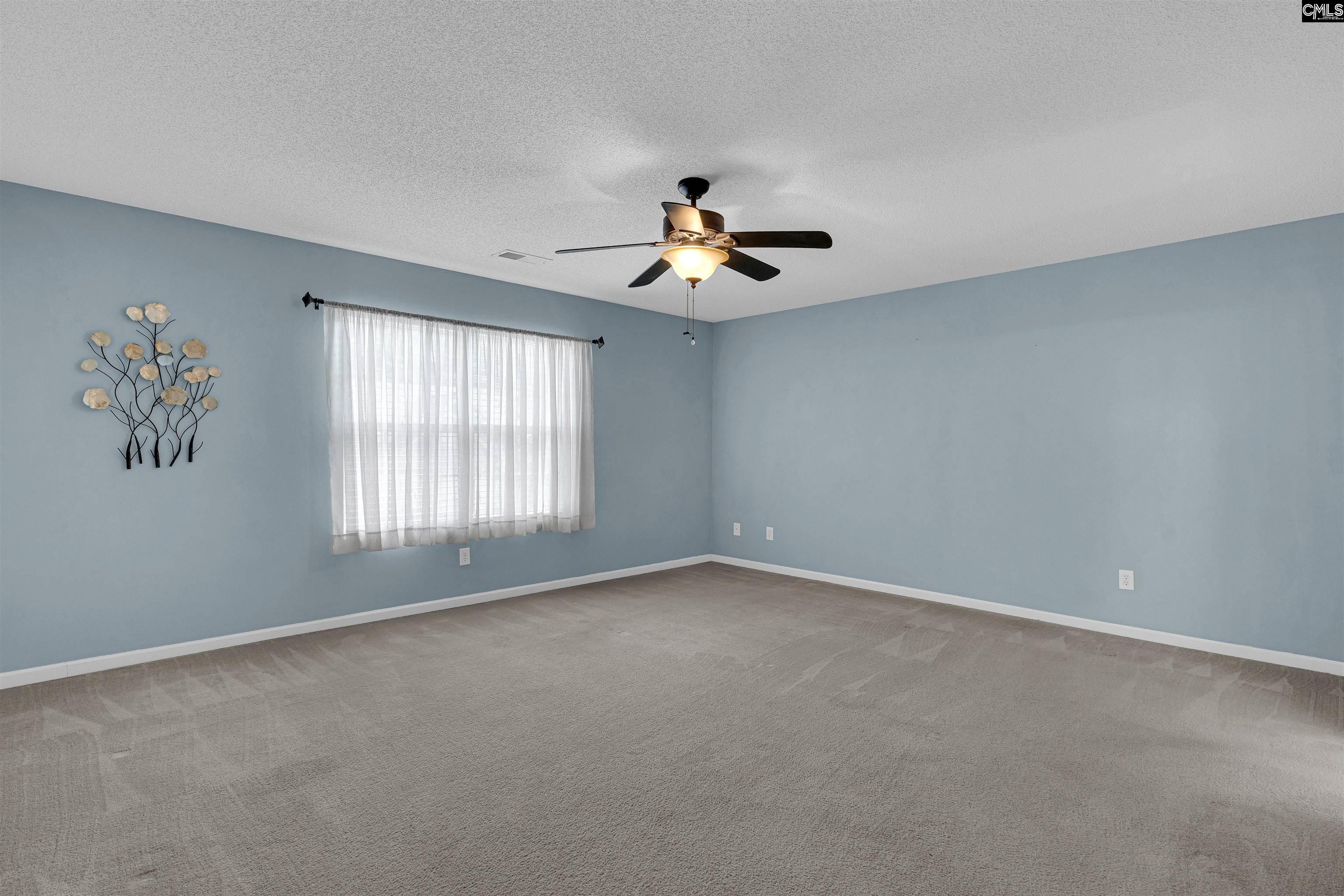 219 Walkbridge Way, Chapin, South Carolina image 23