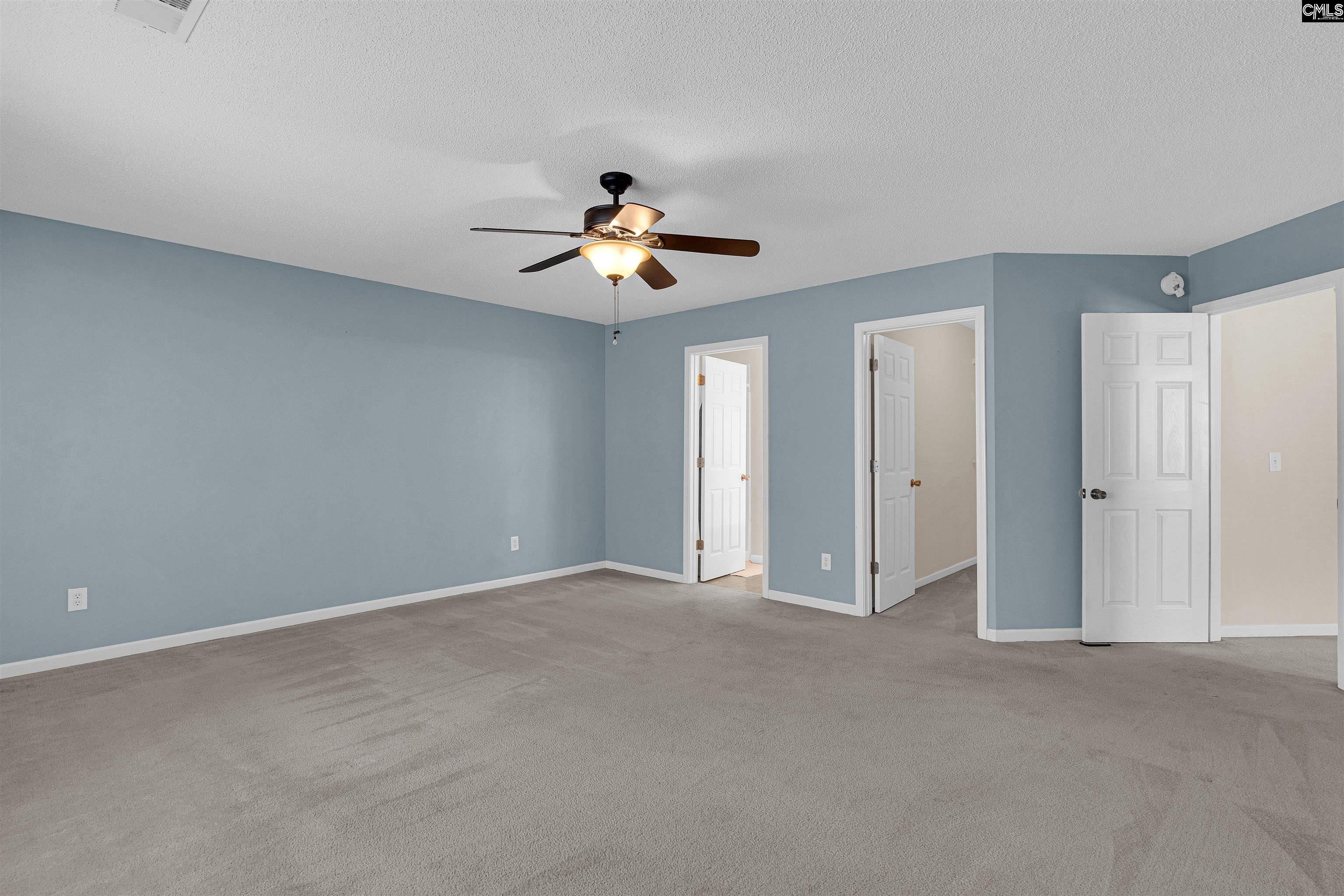 219 Walkbridge Way, Chapin, South Carolina image 24