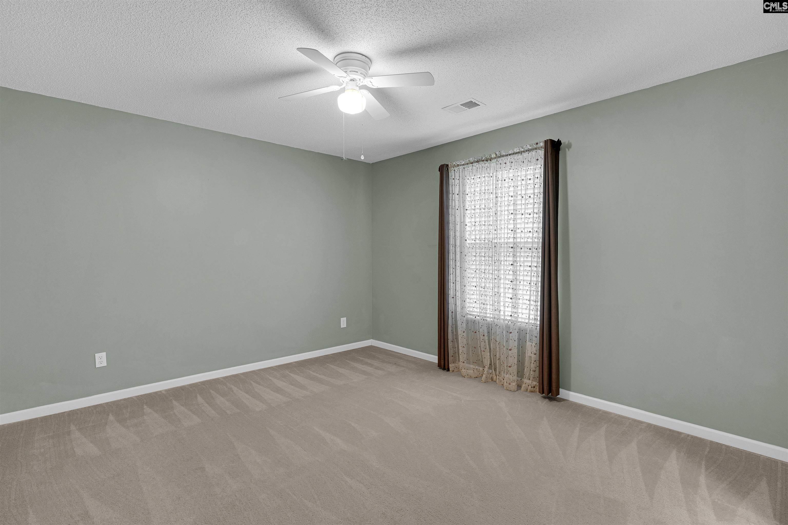 219 Walkbridge Way, Chapin, South Carolina image 29