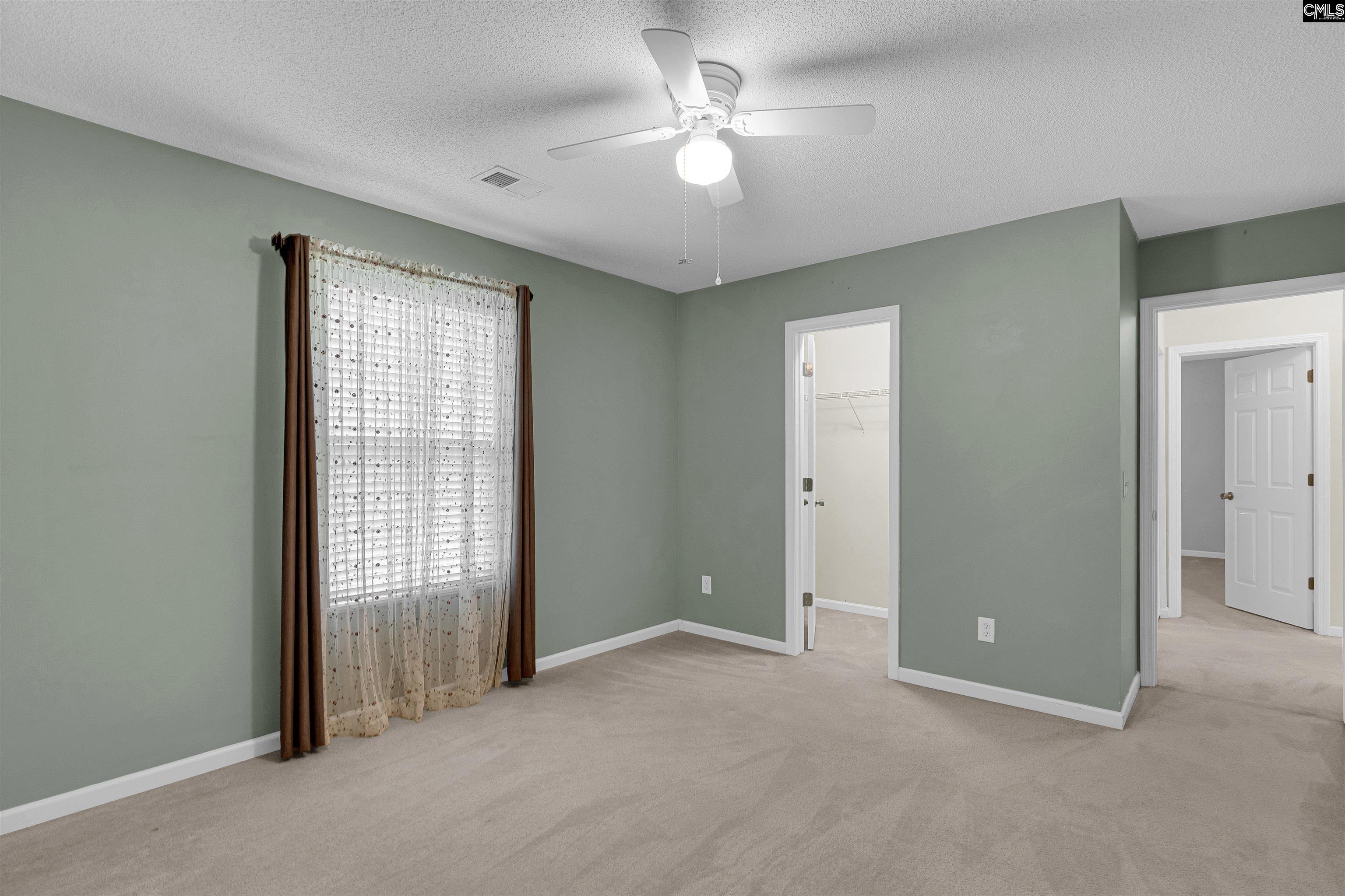 219 Walkbridge Way, Chapin, South Carolina image 30