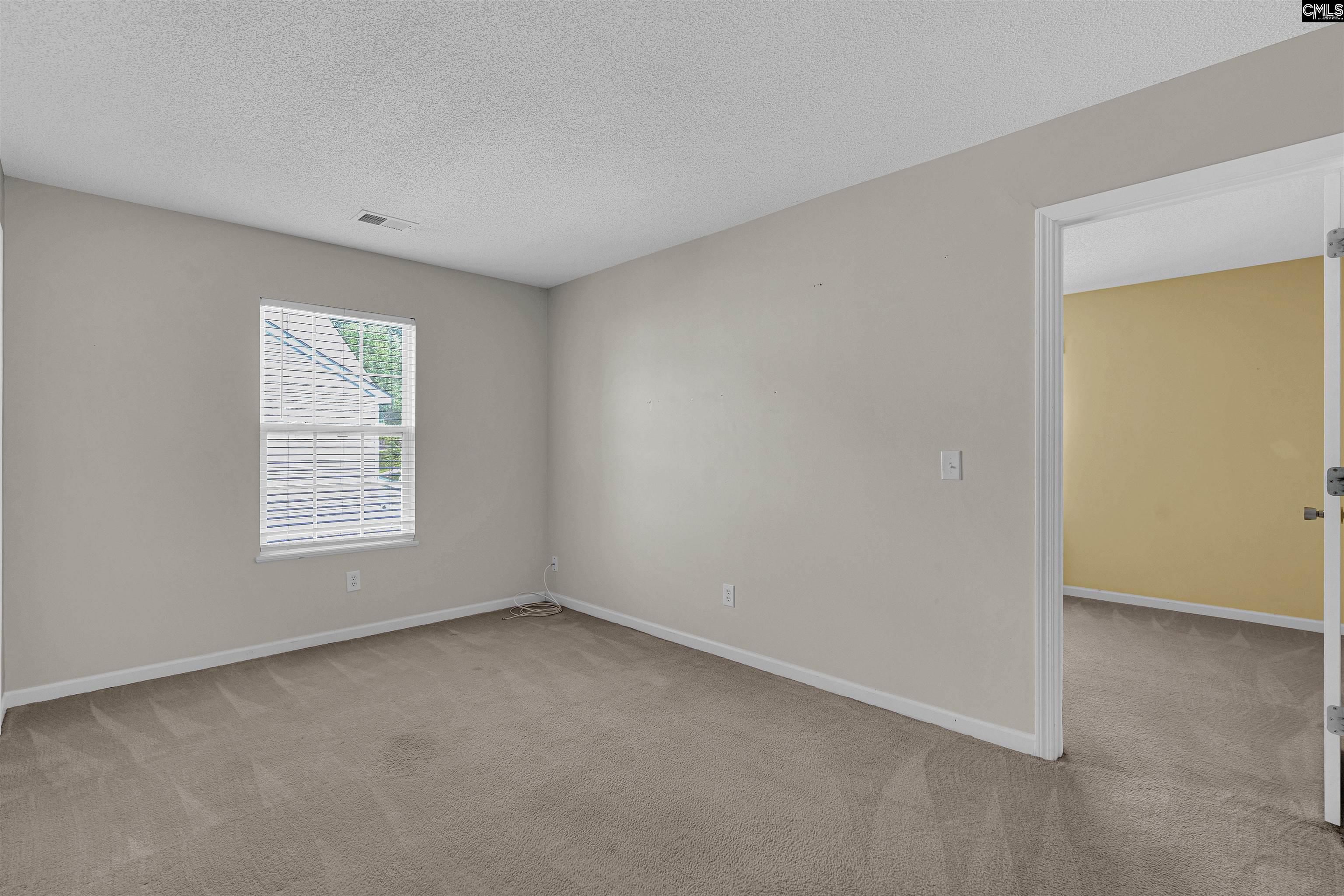 219 Walkbridge Way, Chapin, South Carolina image 37