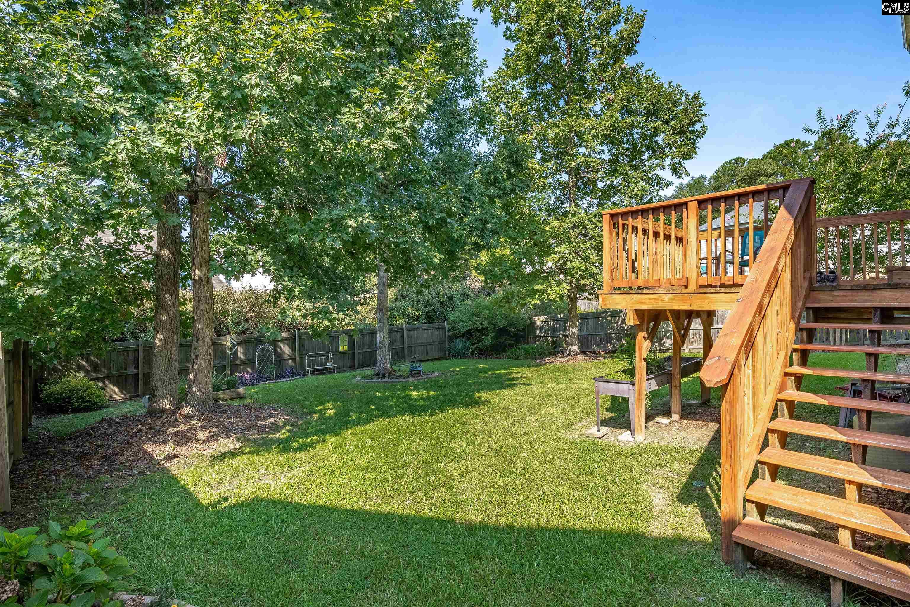 219 Walkbridge Way, Chapin, South Carolina image 38