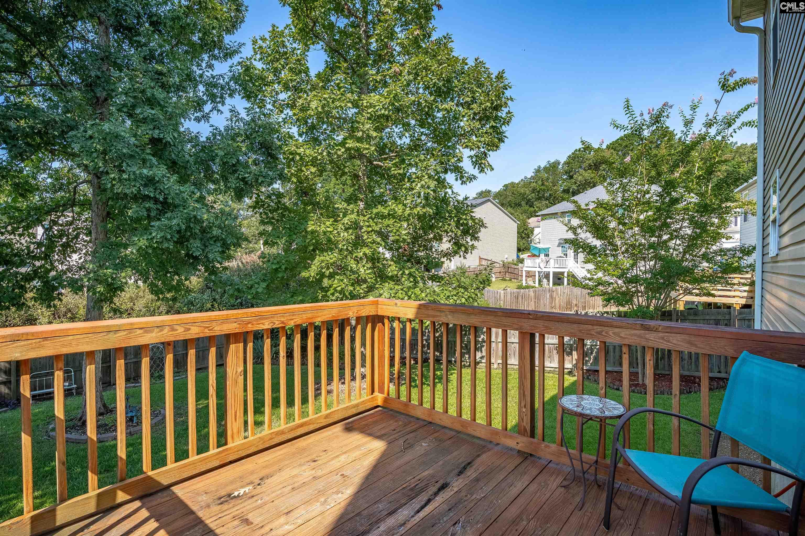 219 Walkbridge Way, Chapin, South Carolina image 39
