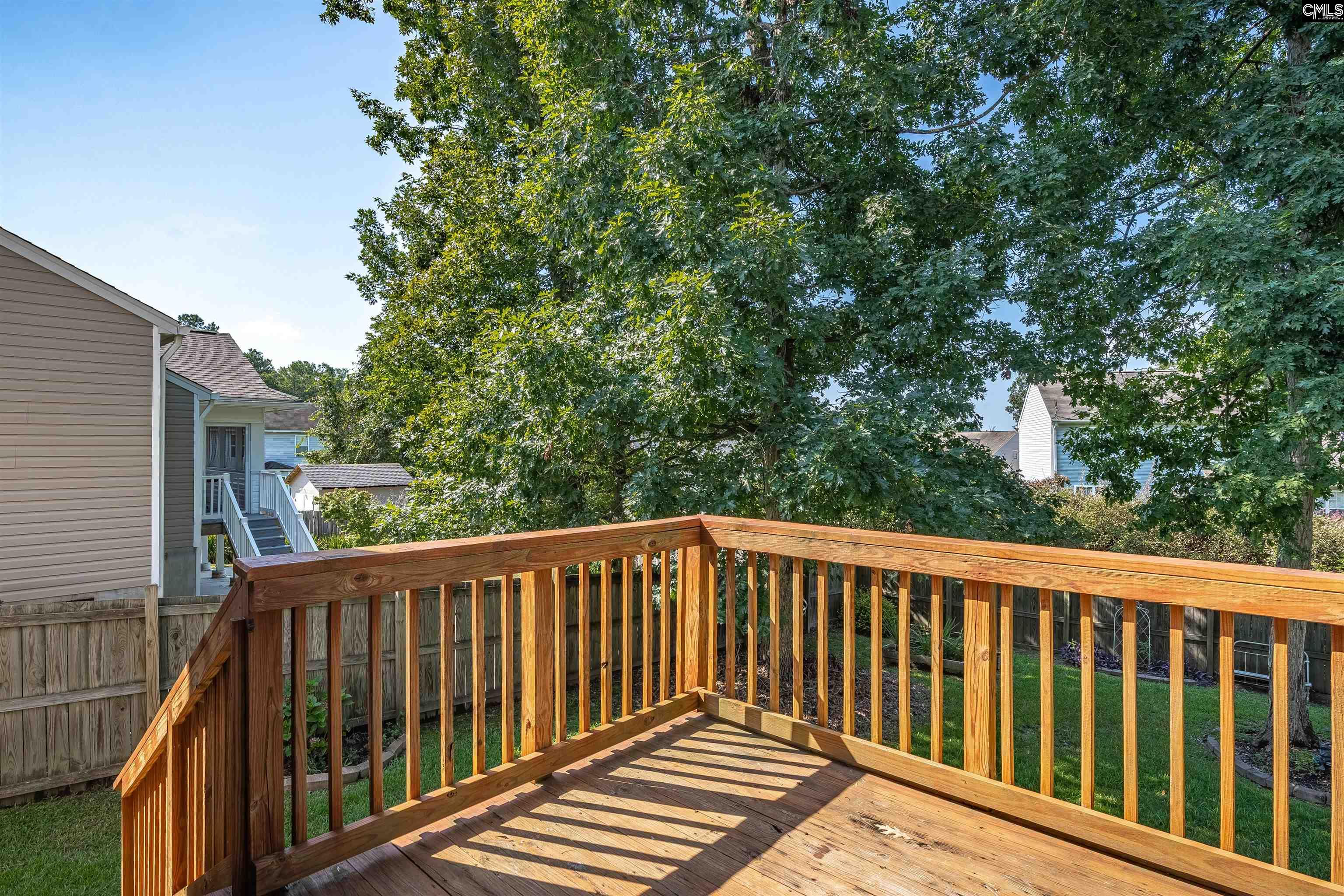 219 Walkbridge Way, Chapin, South Carolina image 40