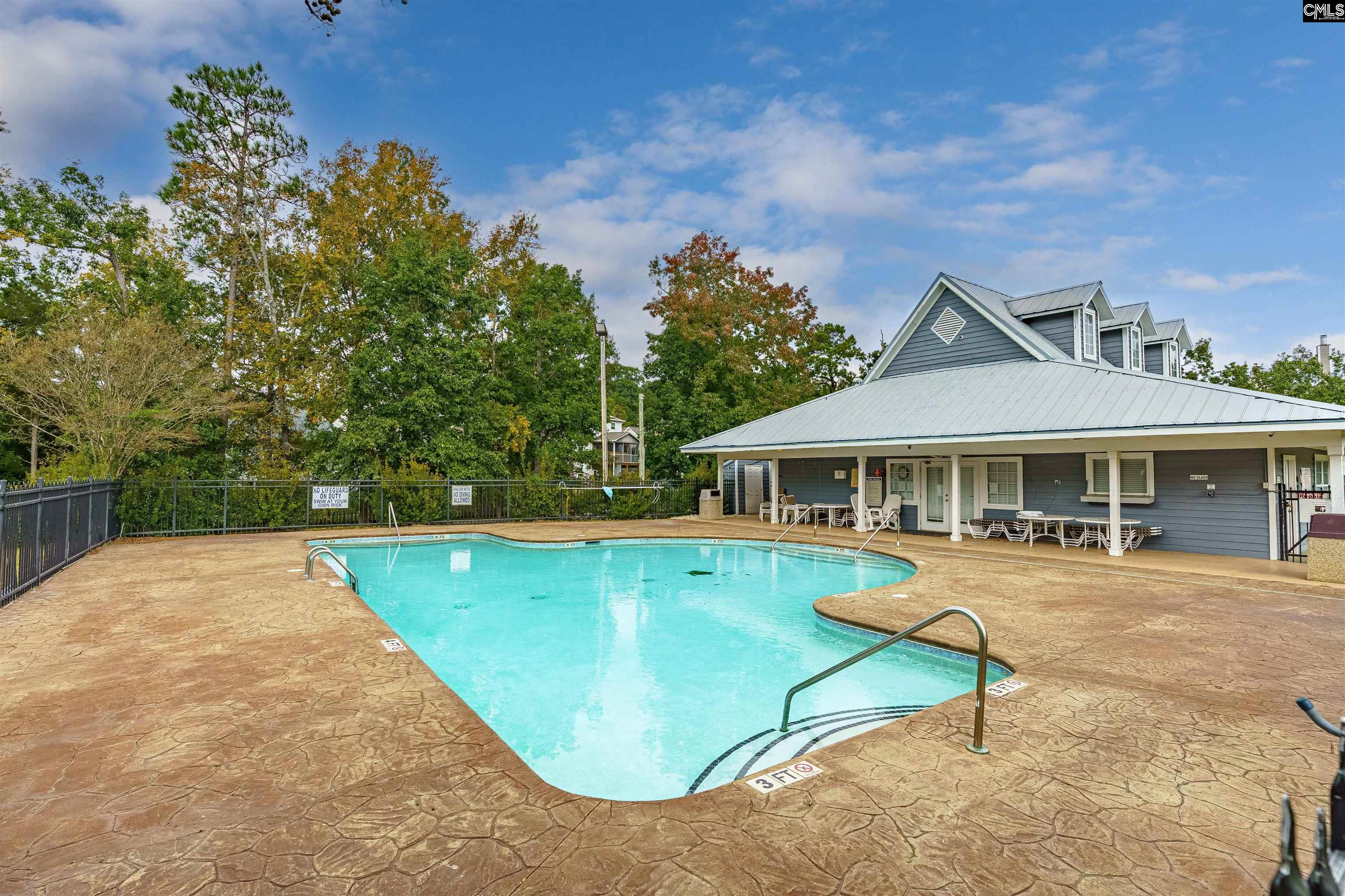 219 Walkbridge Way, Chapin, South Carolina image 42