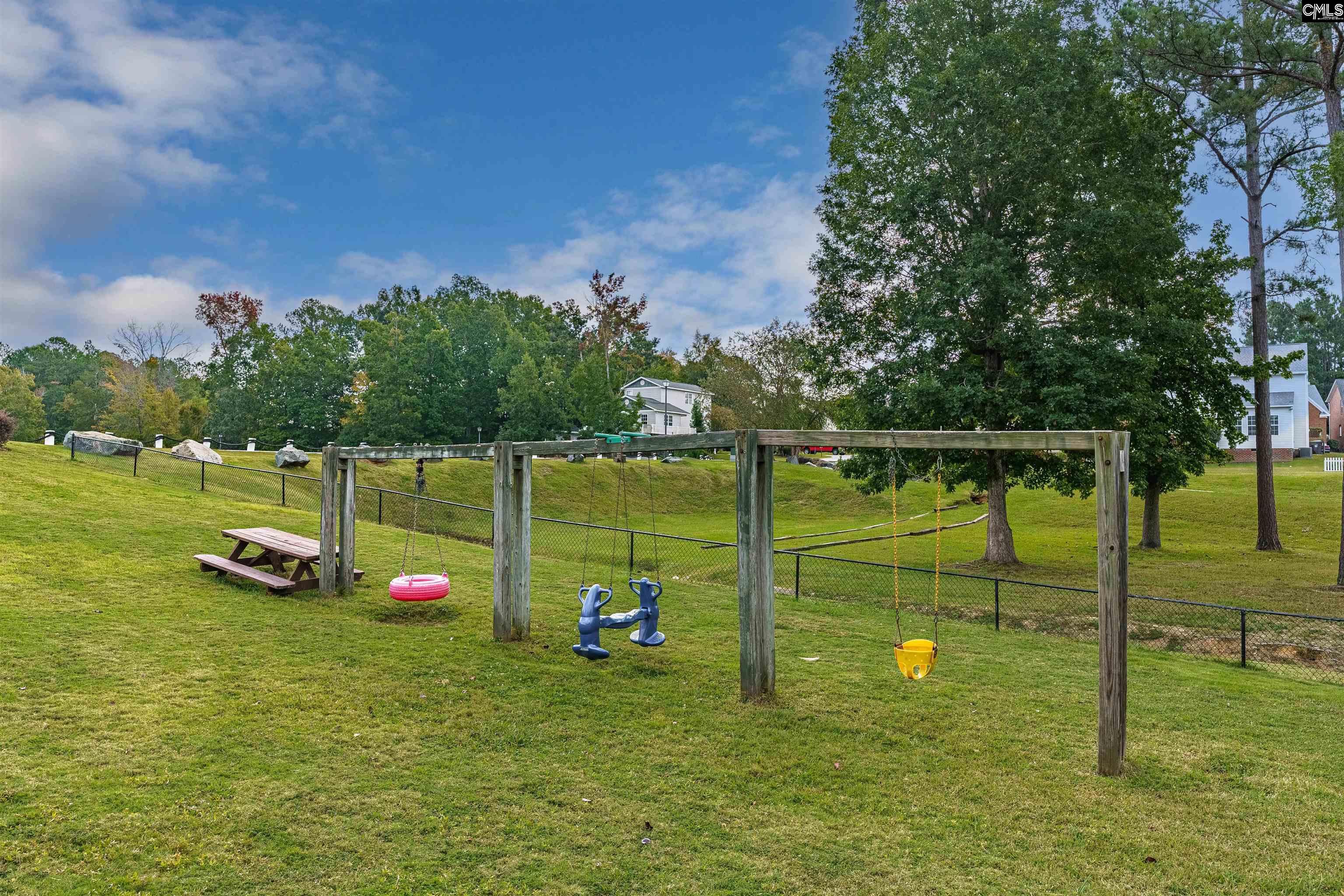 219 Walkbridge Way, Chapin, South Carolina image 43